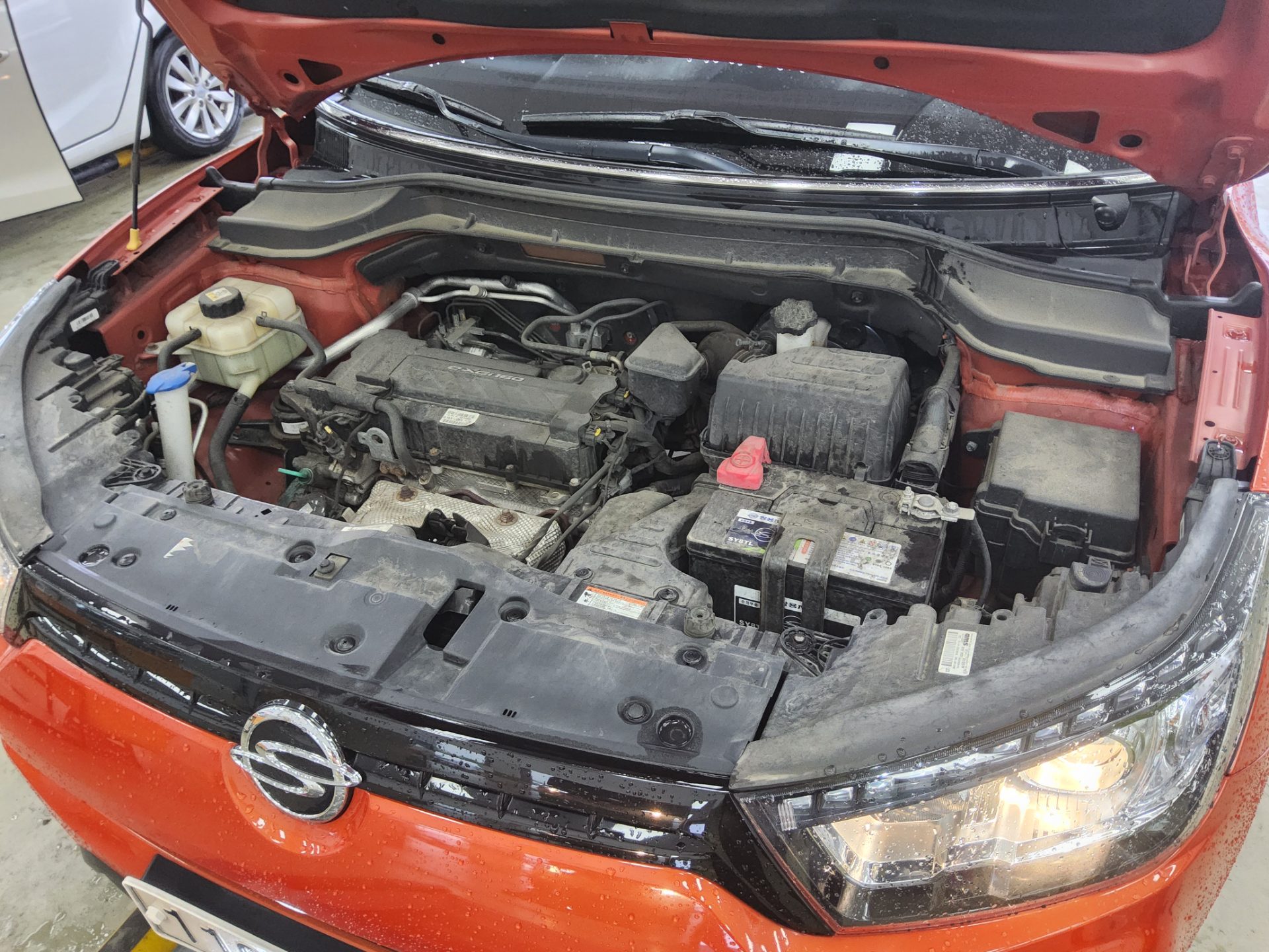 2019 - ssangyong tivoli