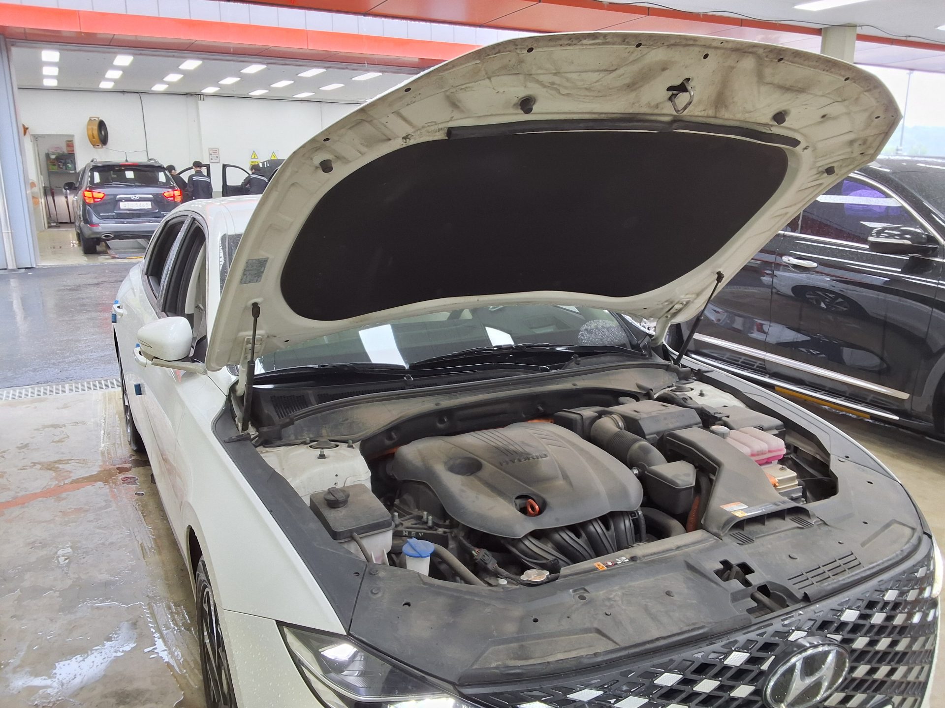 2022 - hyundai grandeur