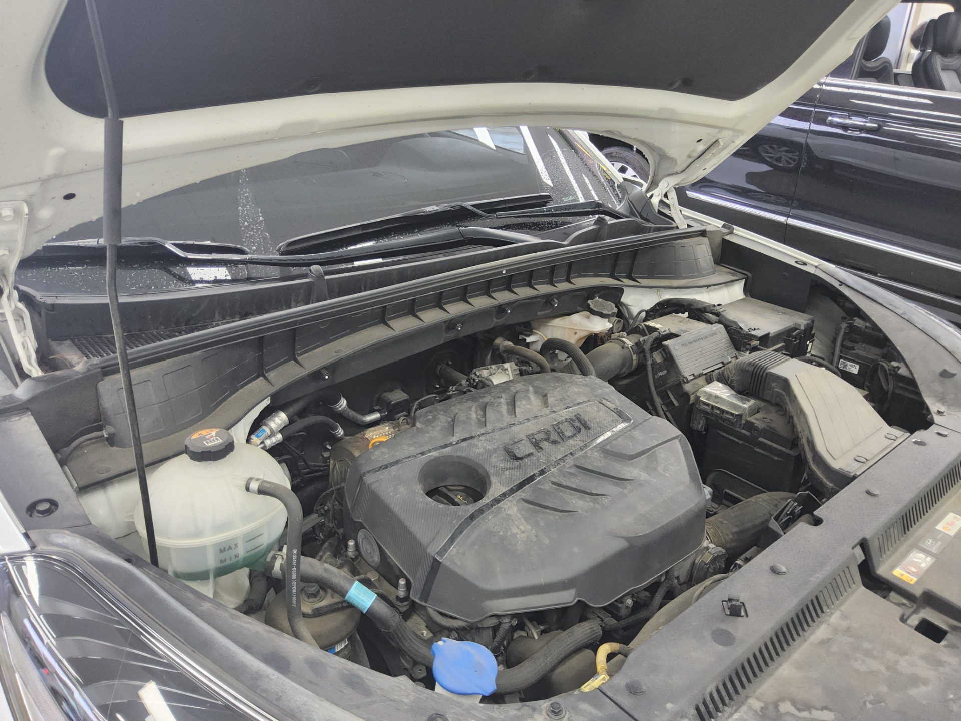 2019 - hyundai tucson