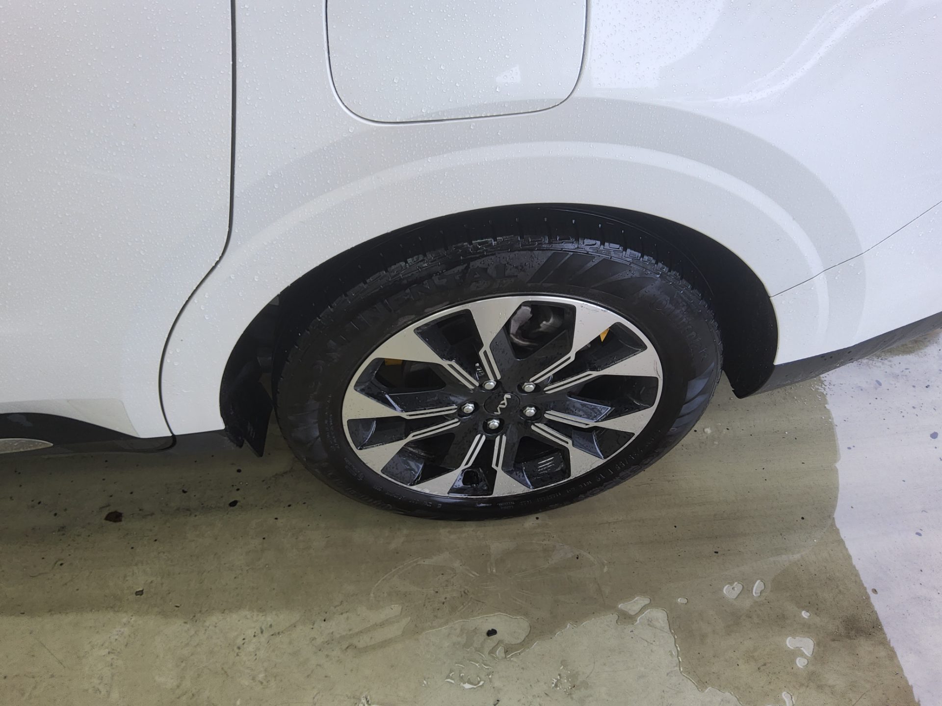 2023 - kia carnival