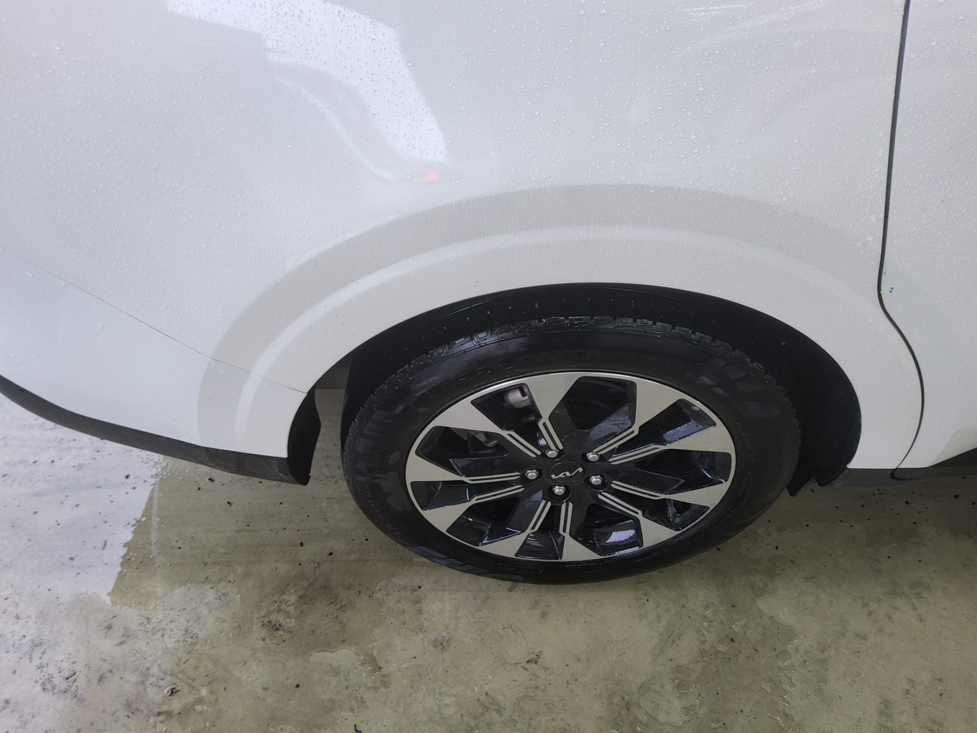 2023 - kia carnival