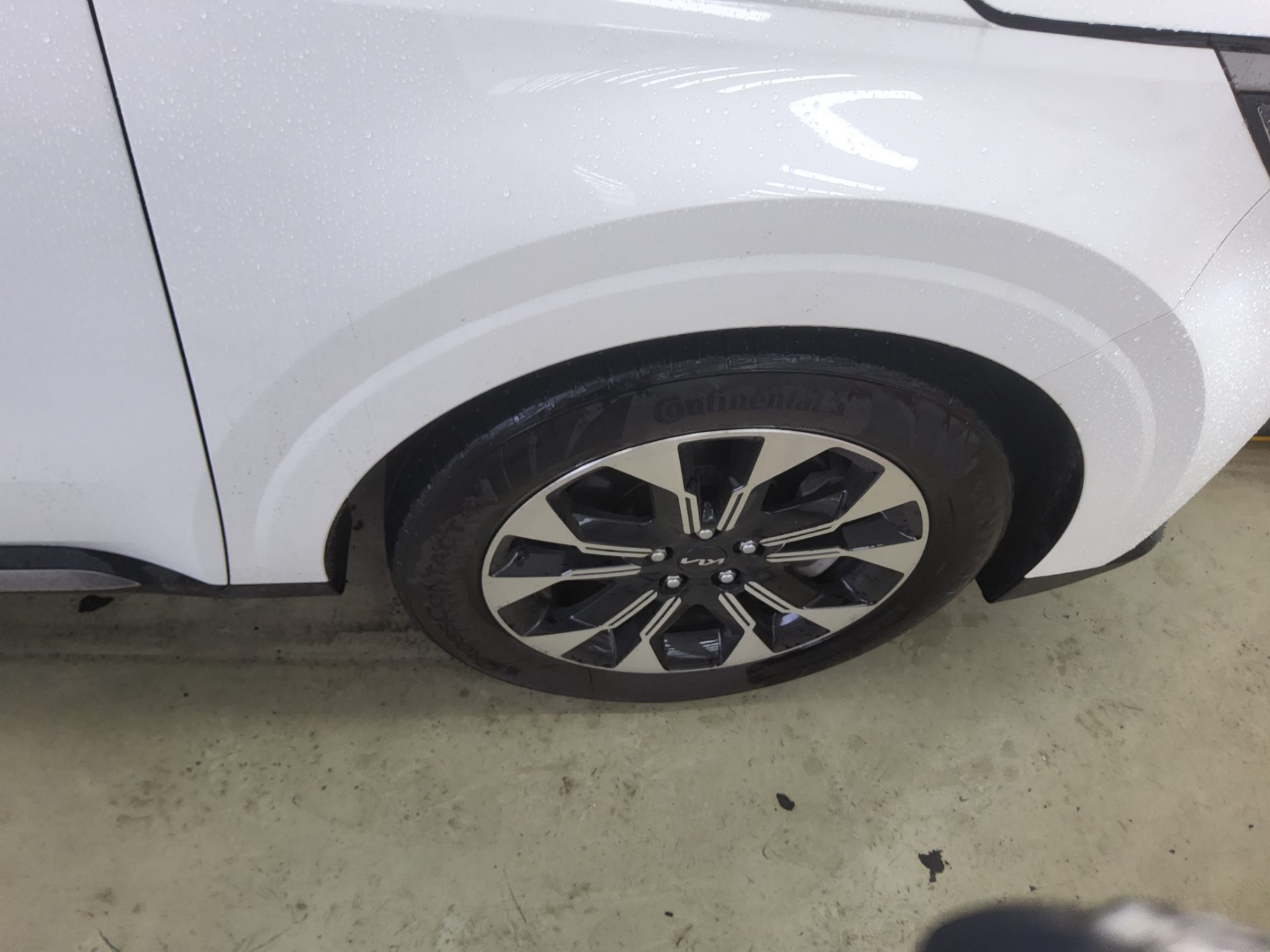 2023 - kia carnival