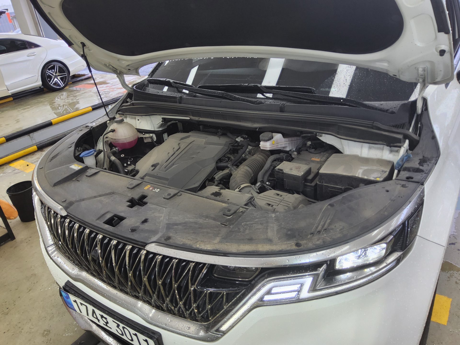 2023 - kia carnival