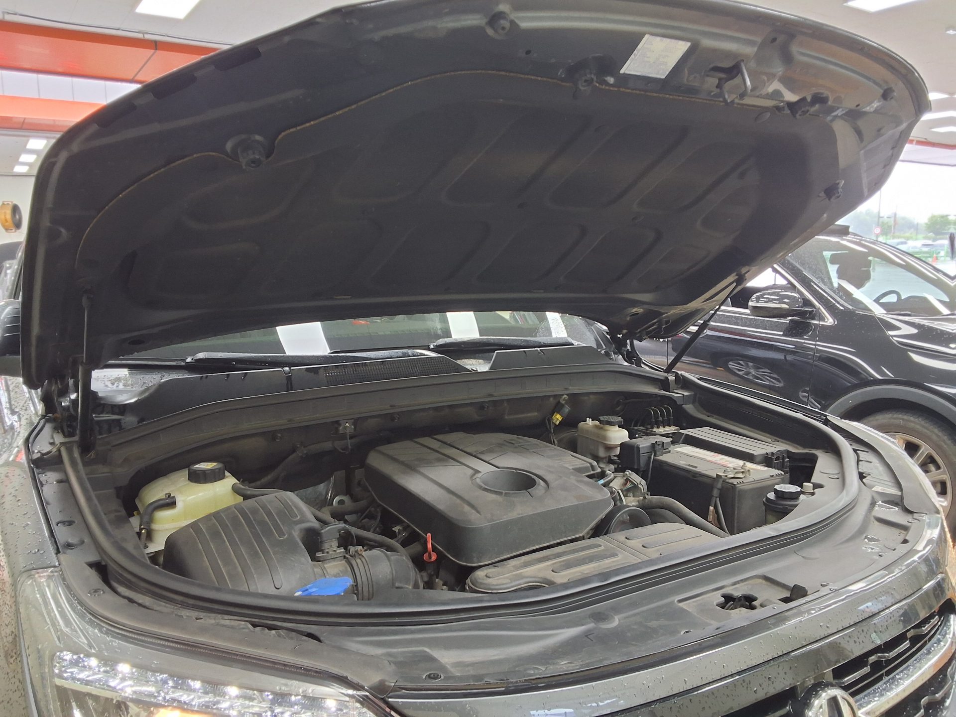 2020 - ssangyong rexton