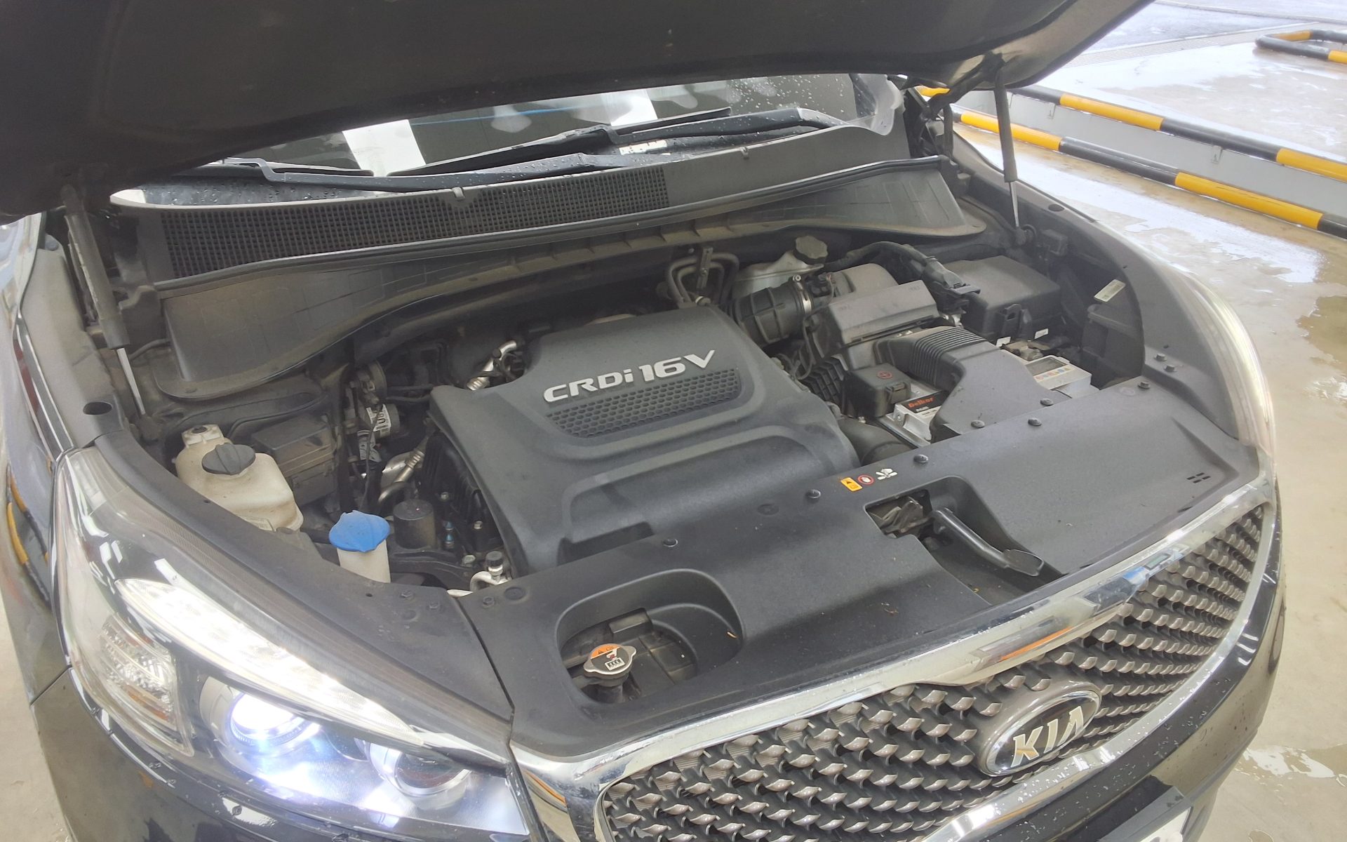 2015 - kia sorento