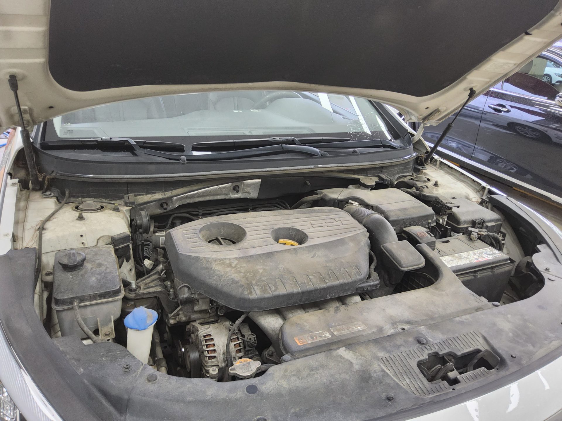 2019 - hyundai sonata