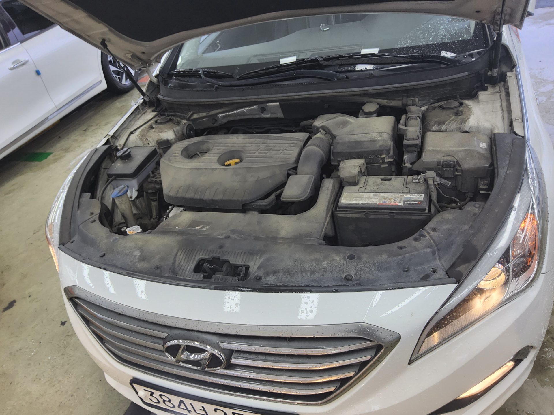 2019 - hyundai sonata