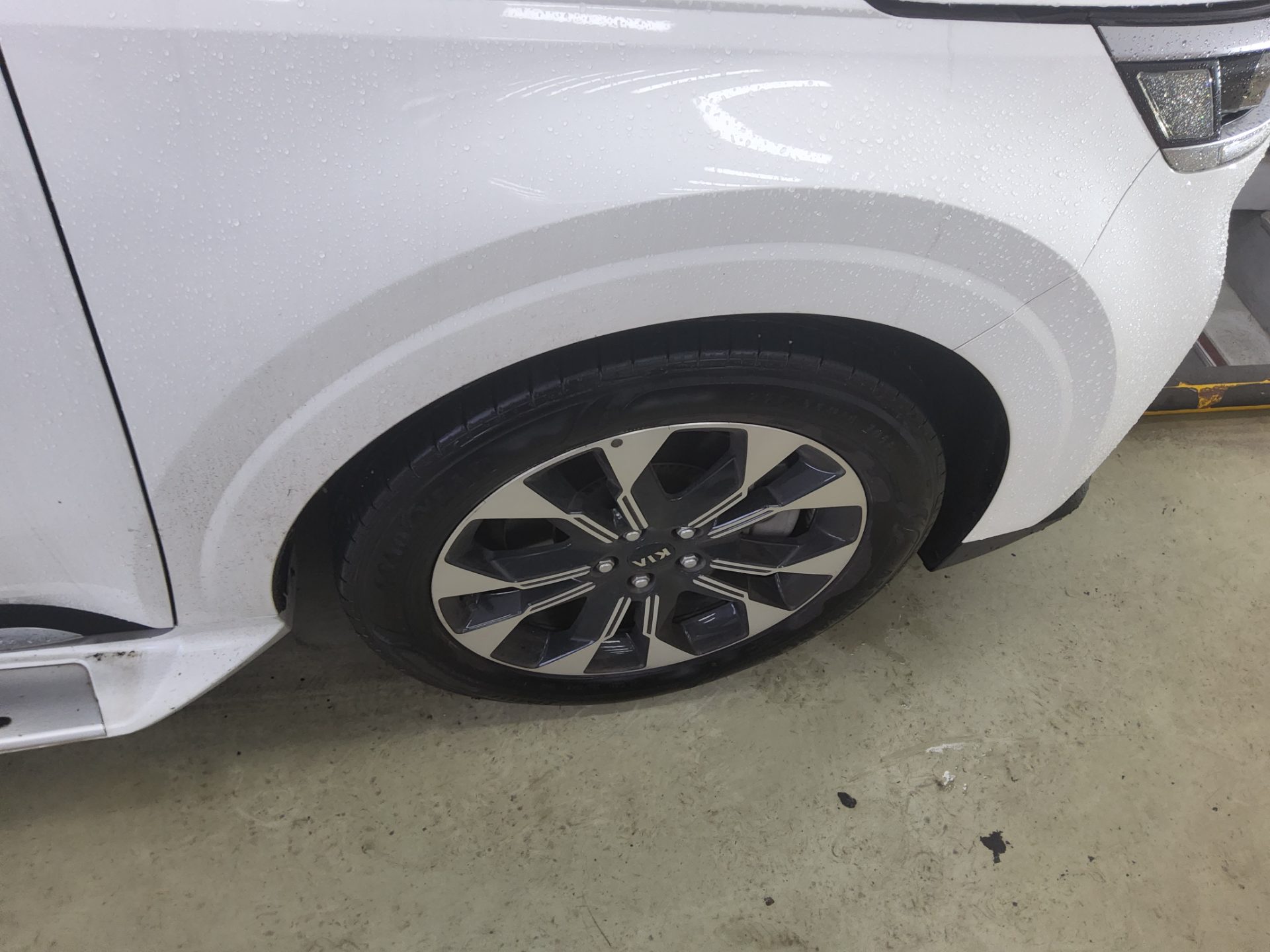 2021 - kia carnival