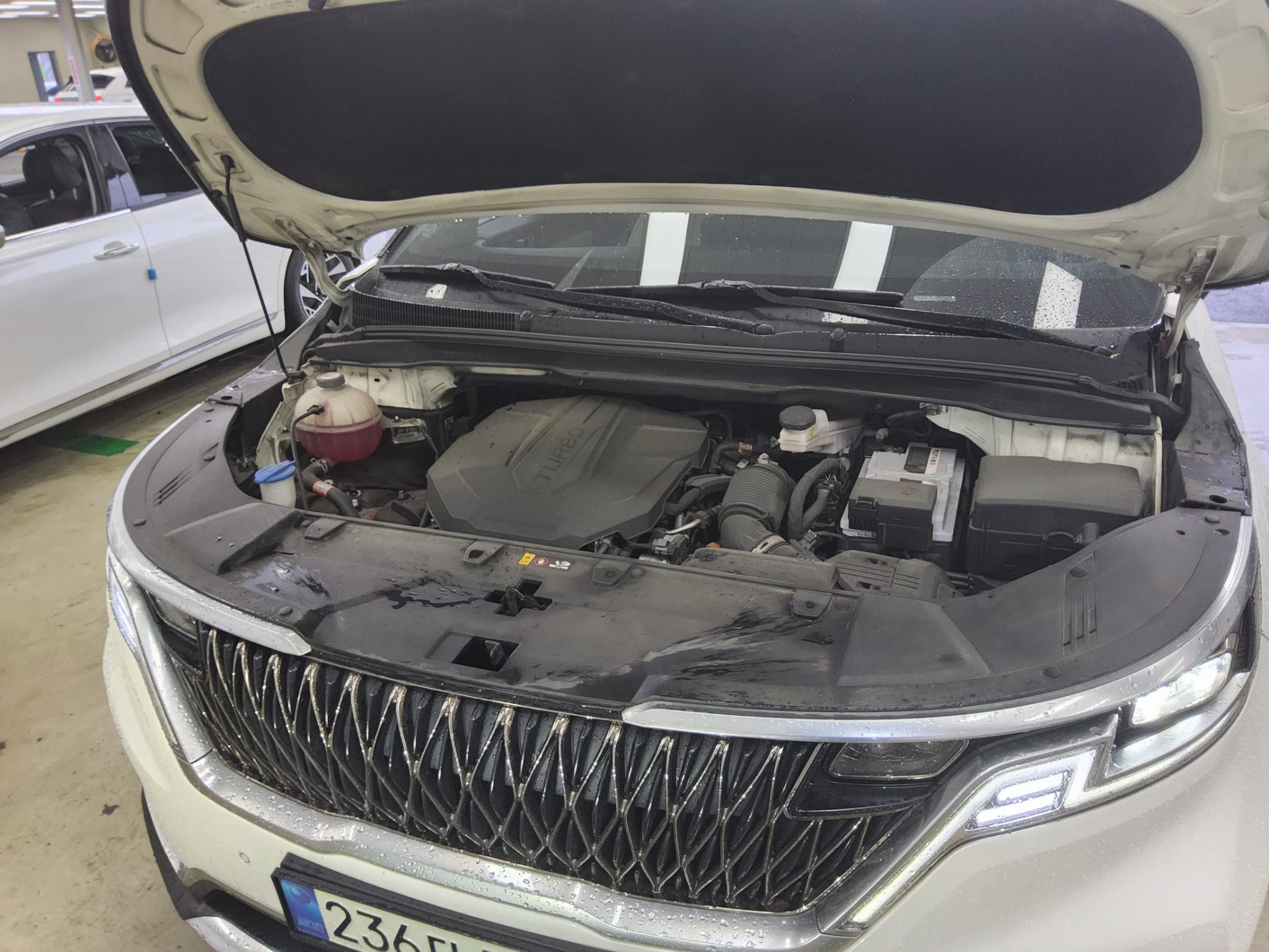2021 - kia carnival
