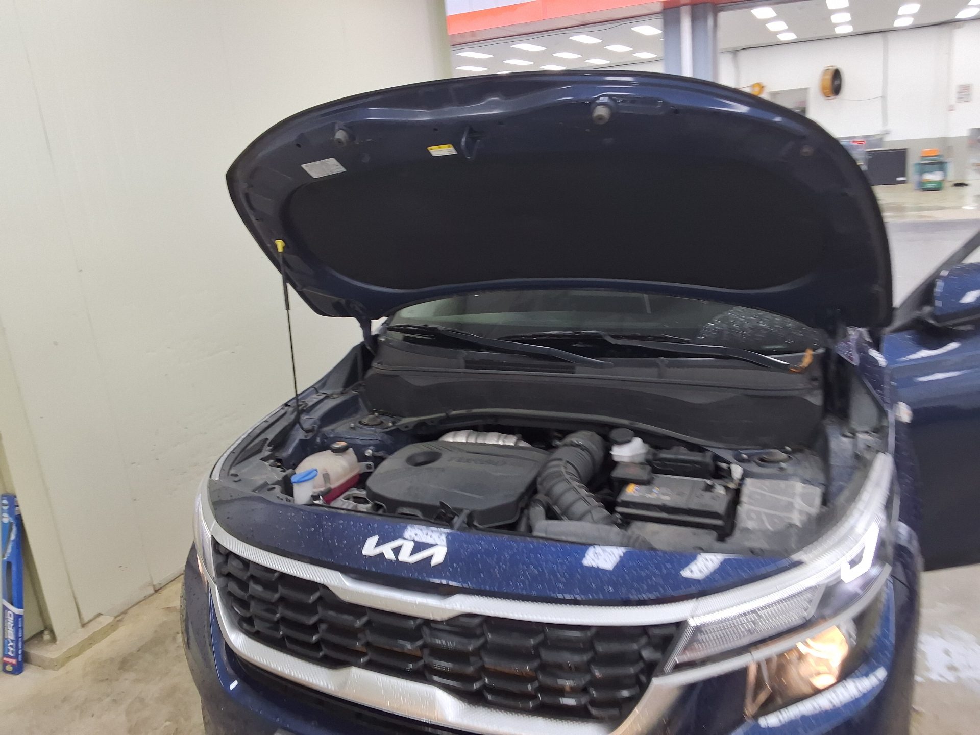 2022 - kia seltos