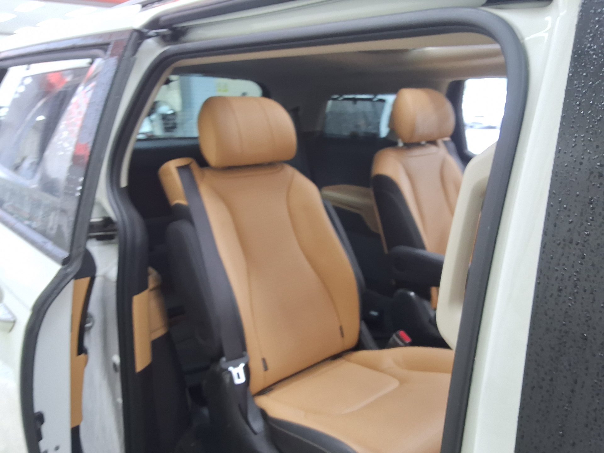 2023 - kia carnival