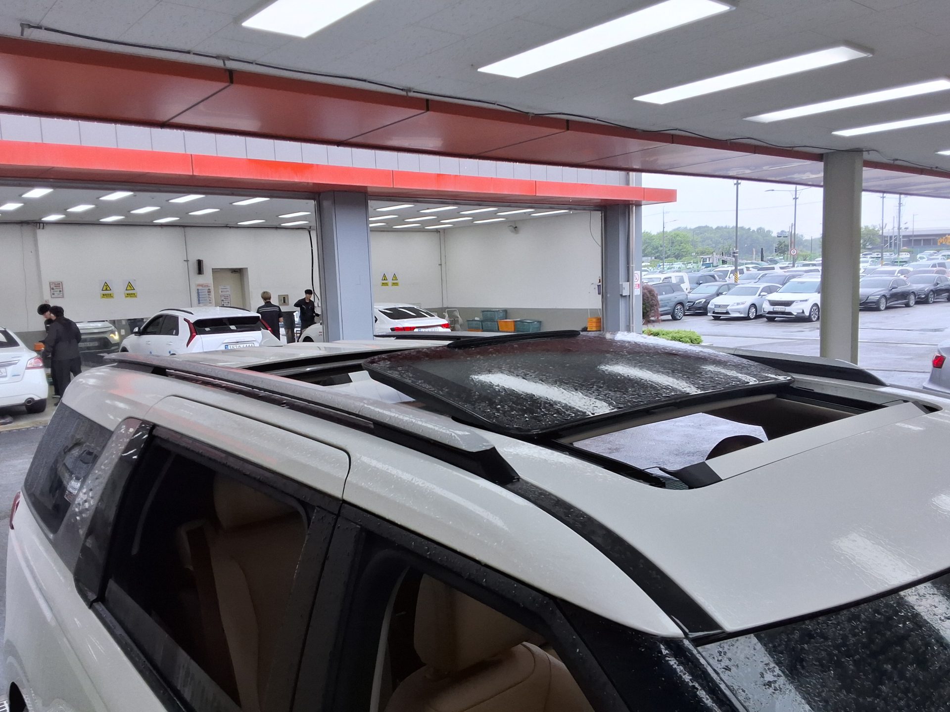 2023 - kia carnival