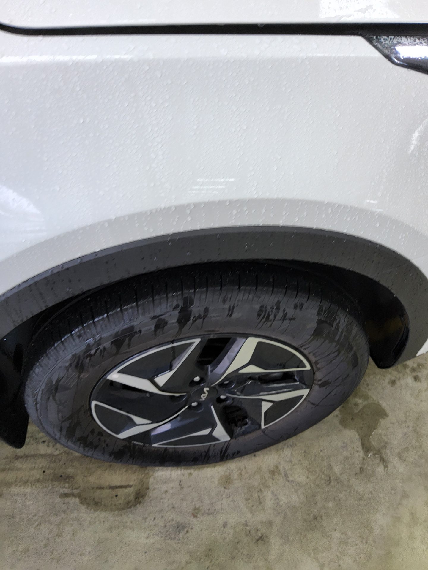 2024 - kia sorento