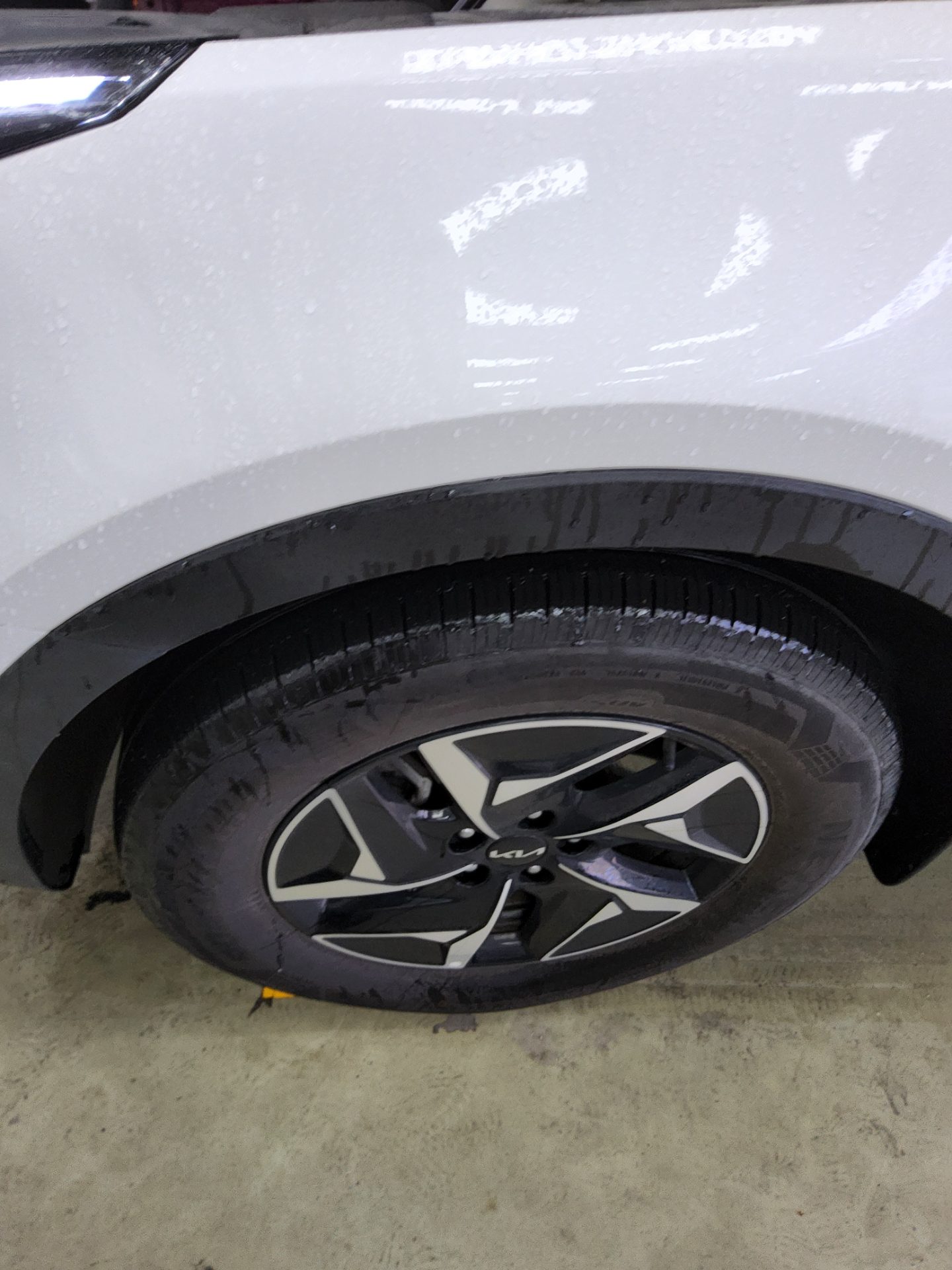2024 - kia sorento
