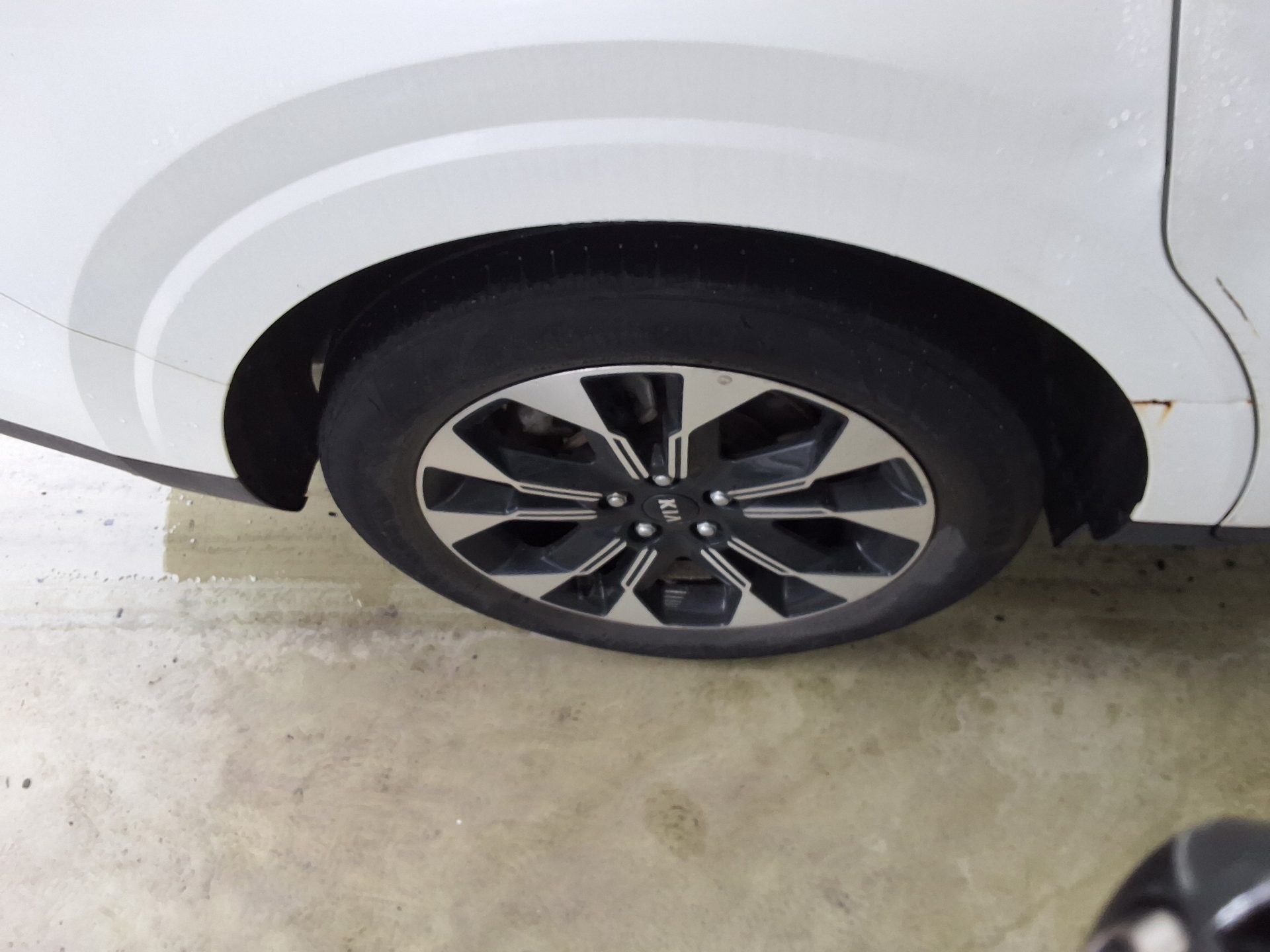 2021 - kia carnival
