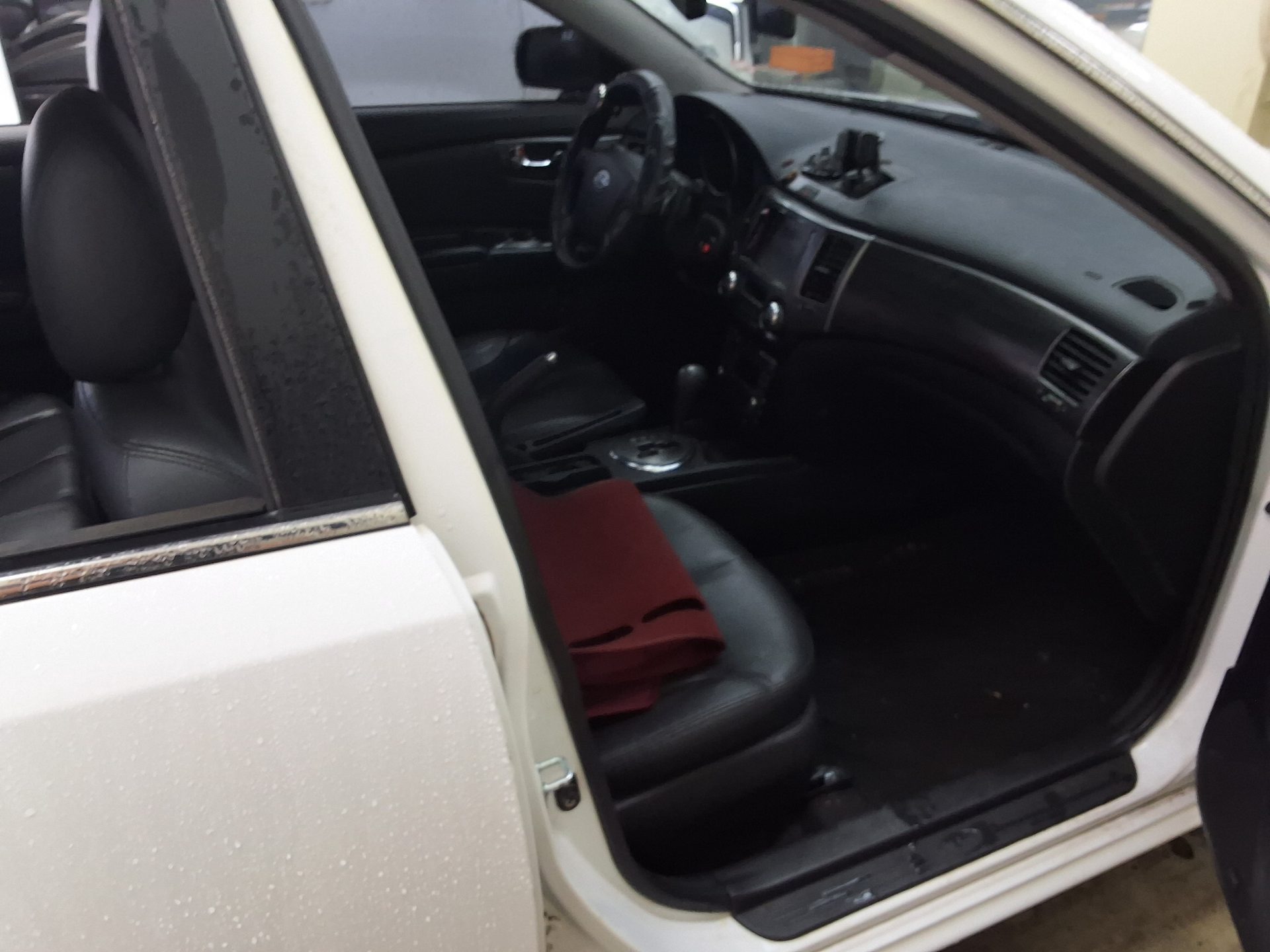 2010 - kia lotze