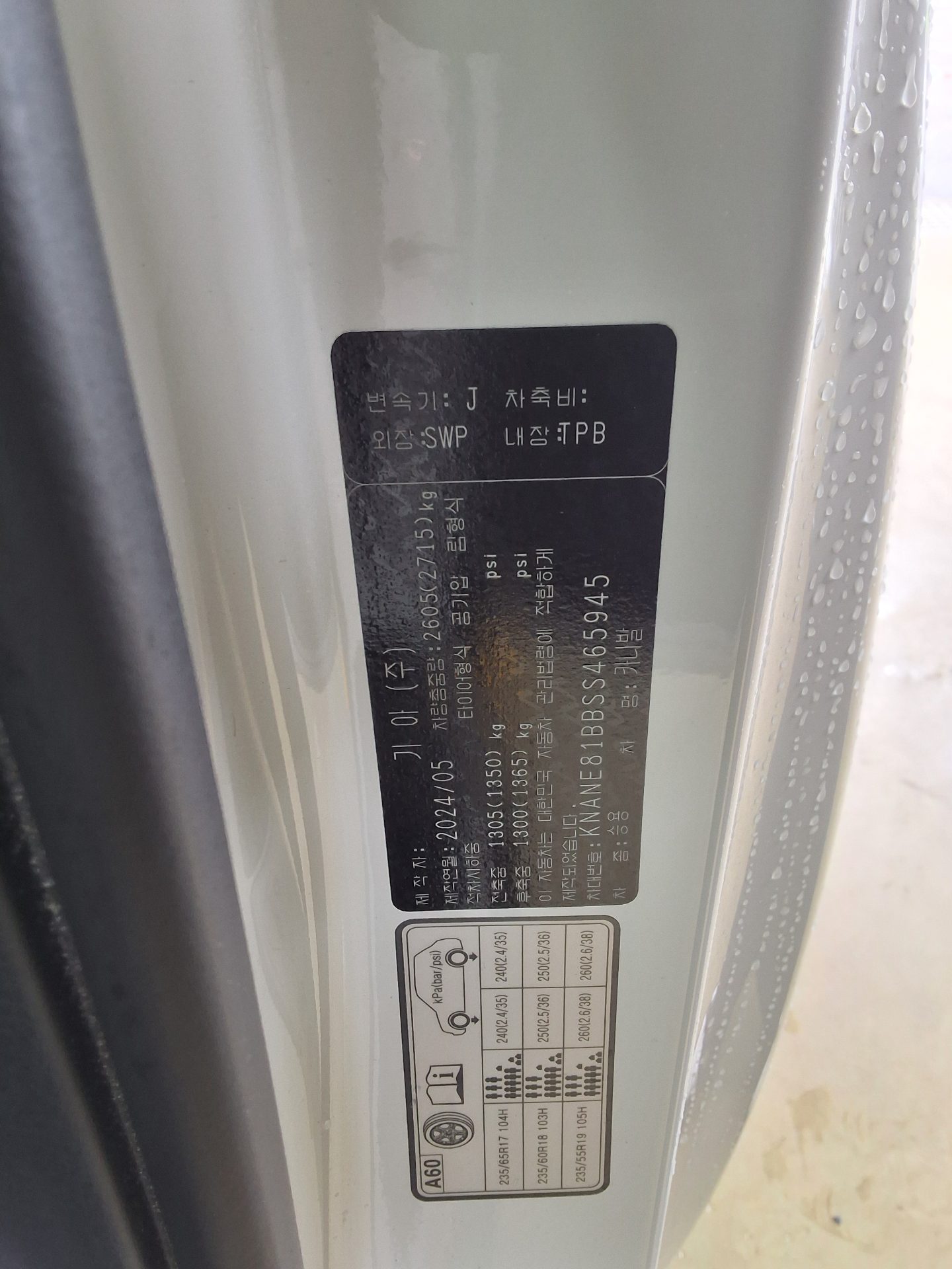 2025 - kia carnival