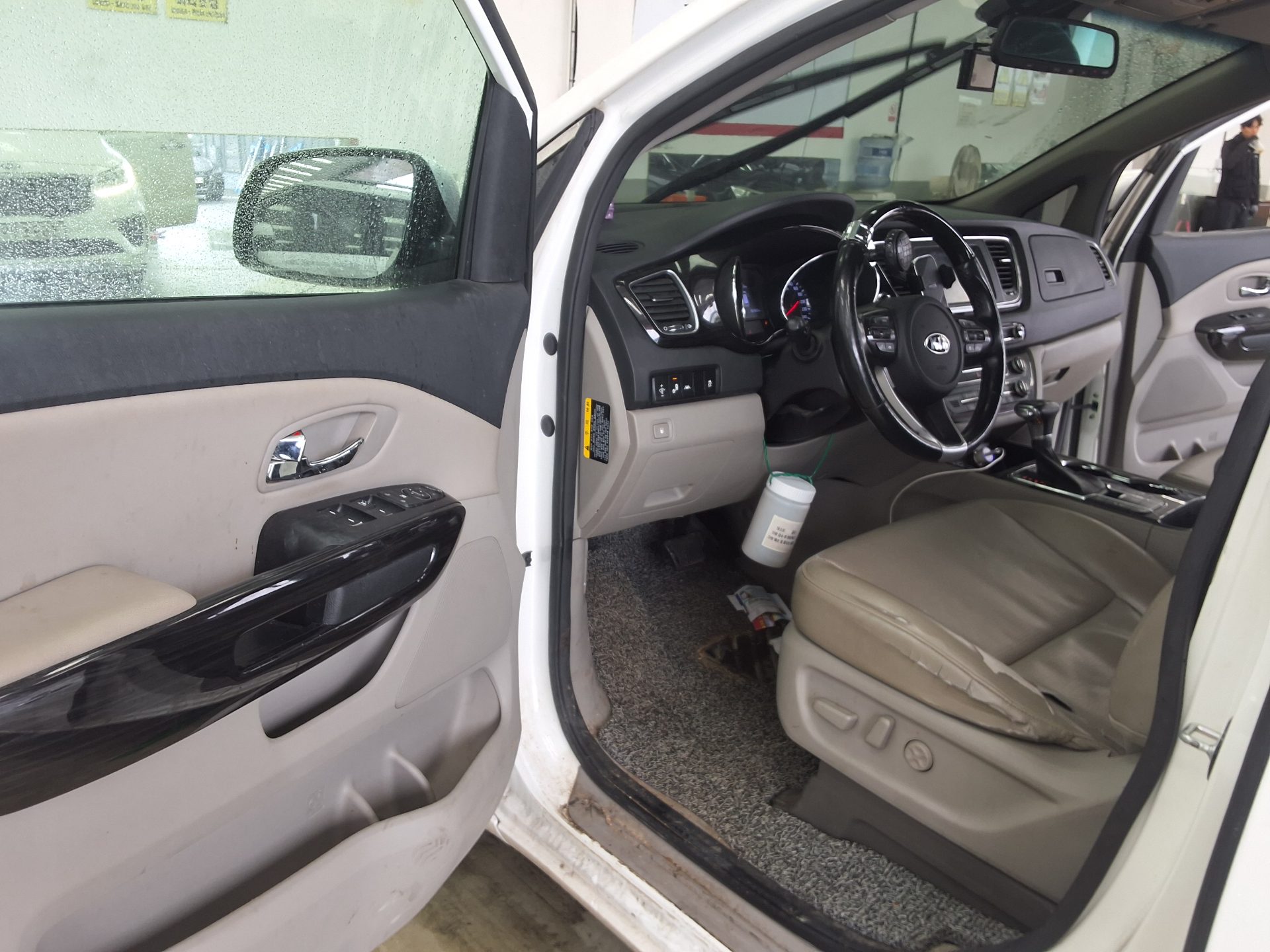 2019 - kia carnival