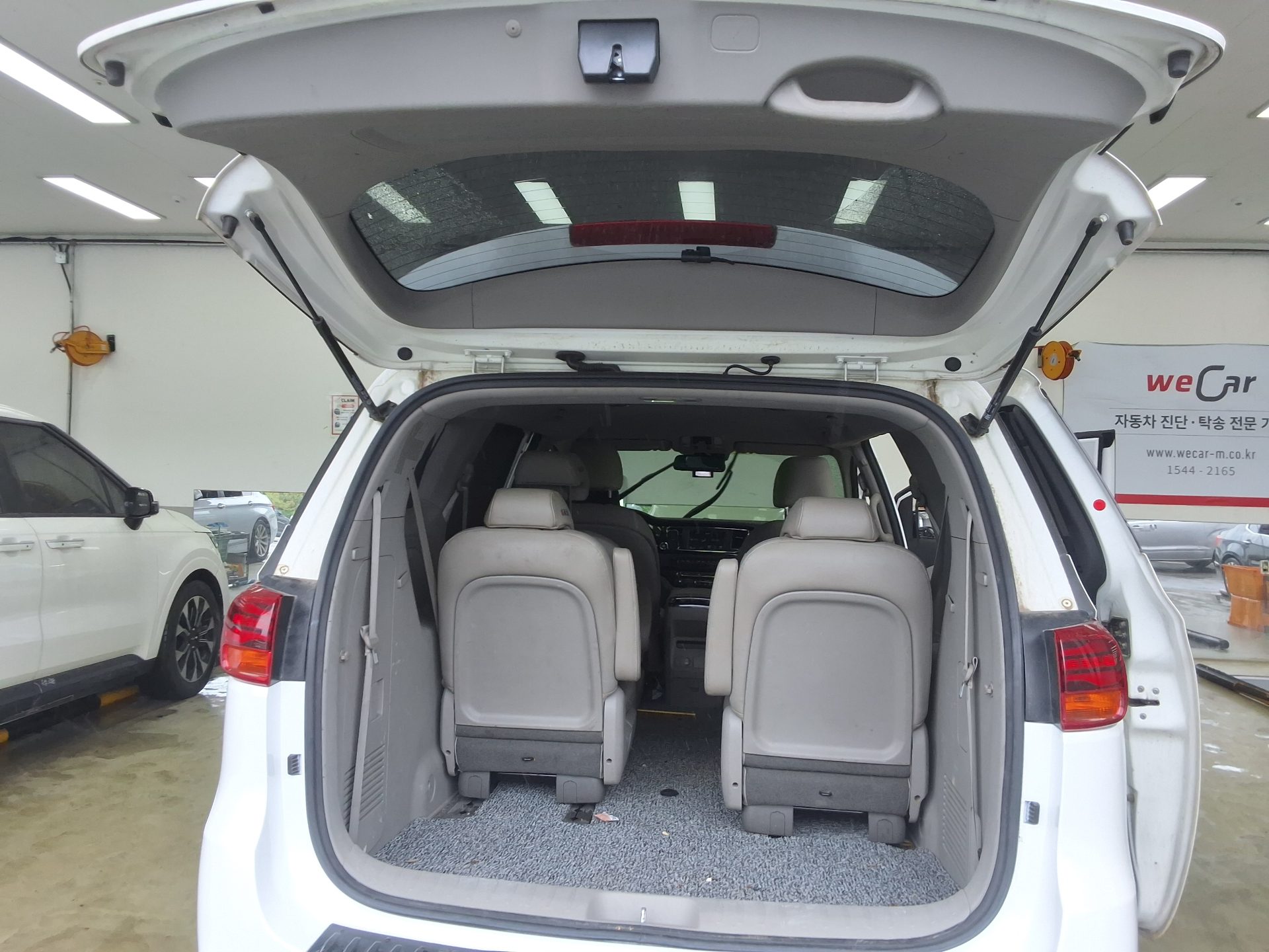 2019 - kia carnival