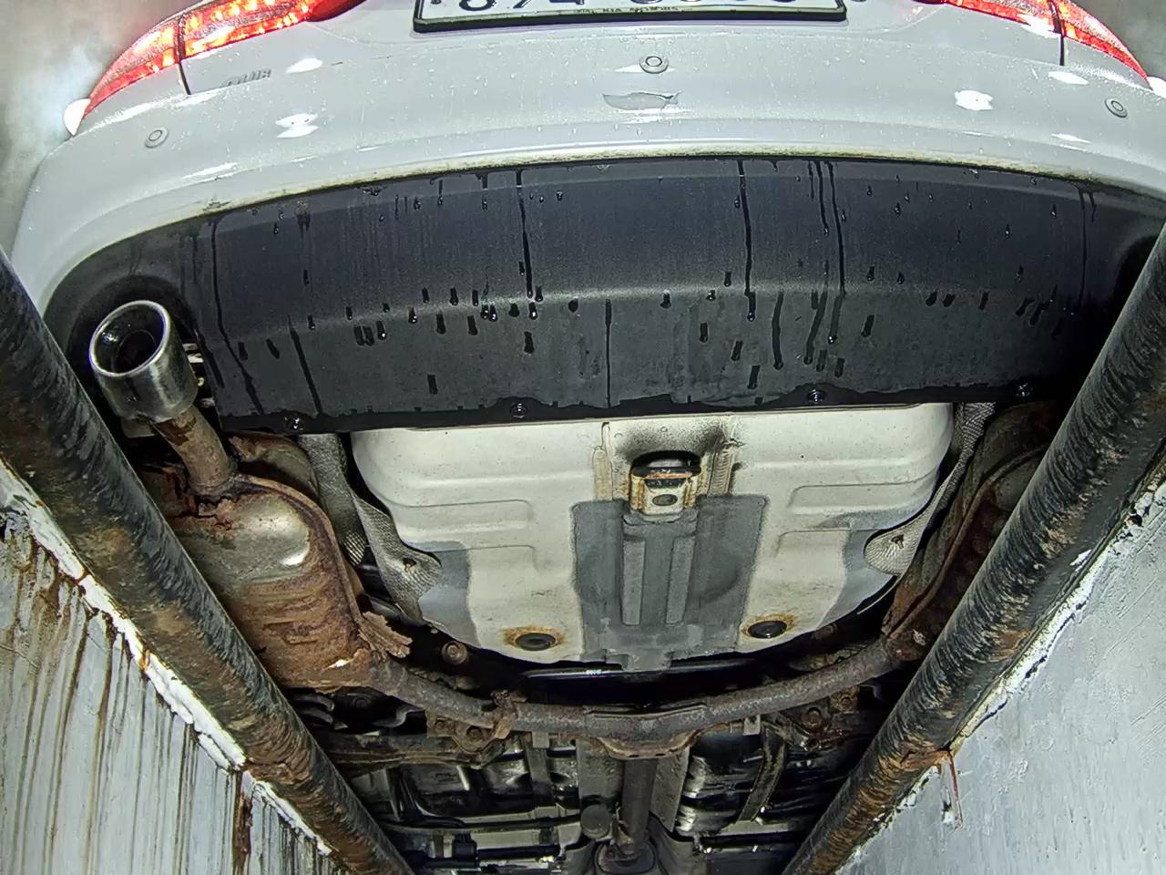 2010 - kia lotze