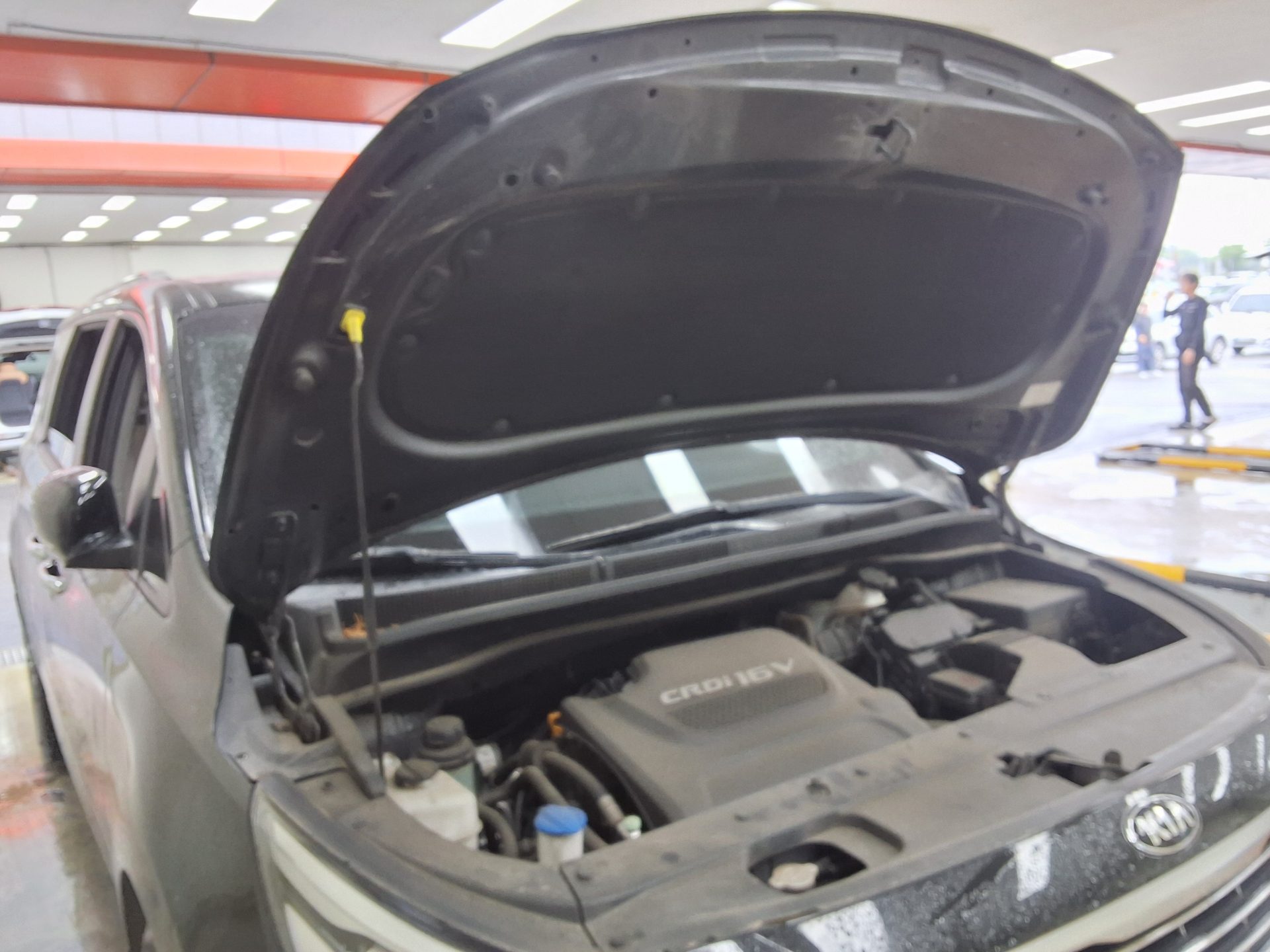 2018 - kia carnival