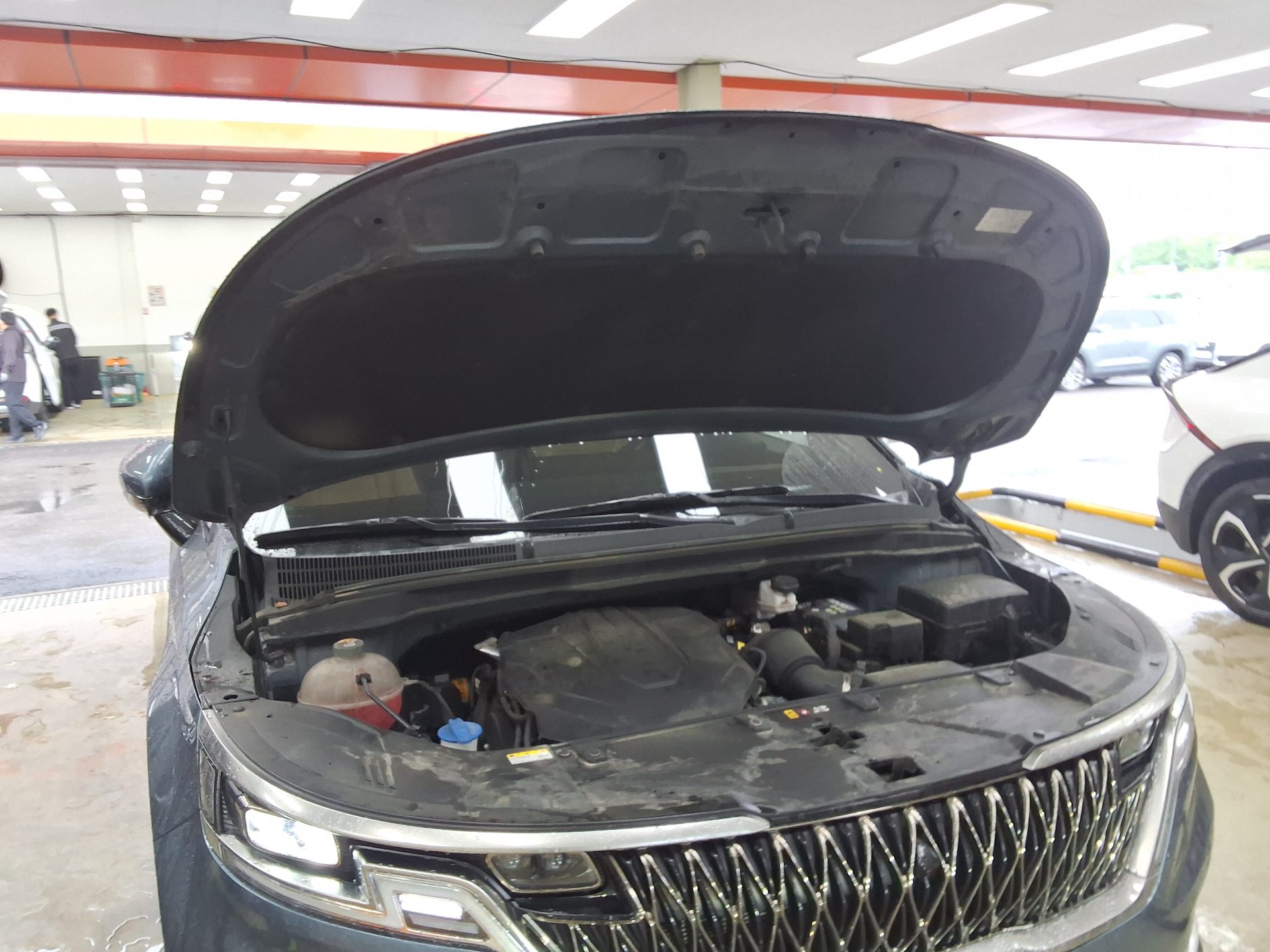 2023 - kia carnival