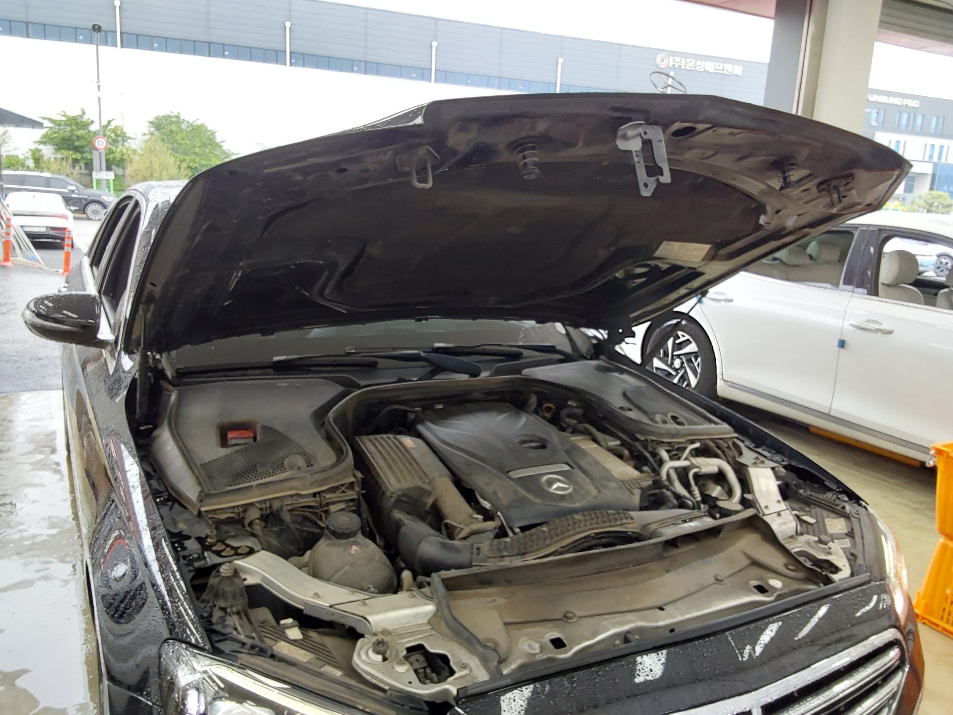 2021 - mercedes-benz e250