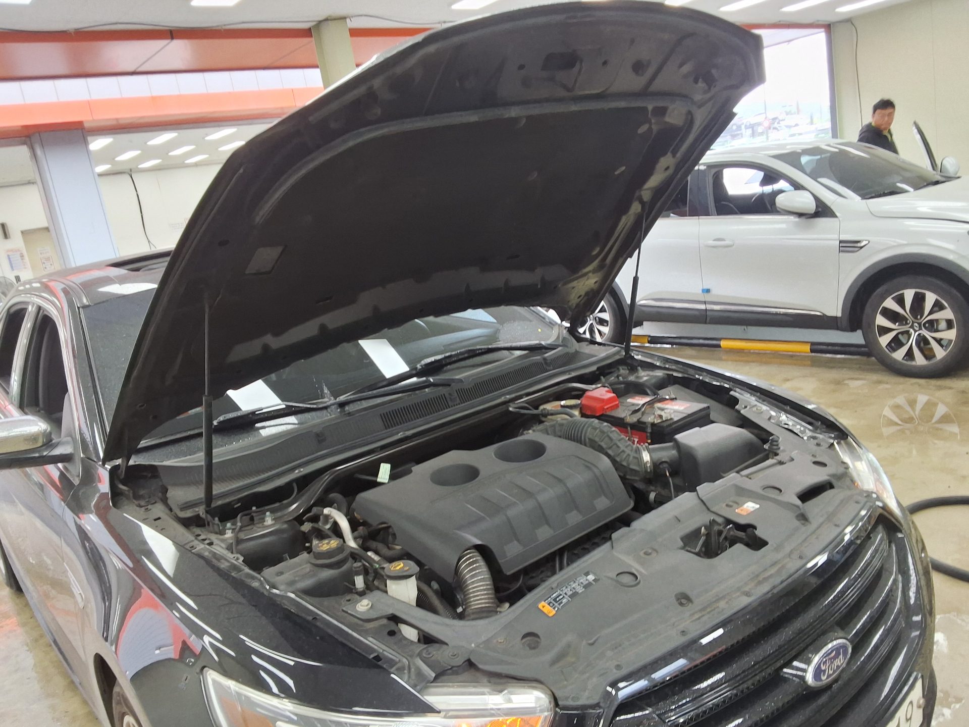 2017 - ford taurus