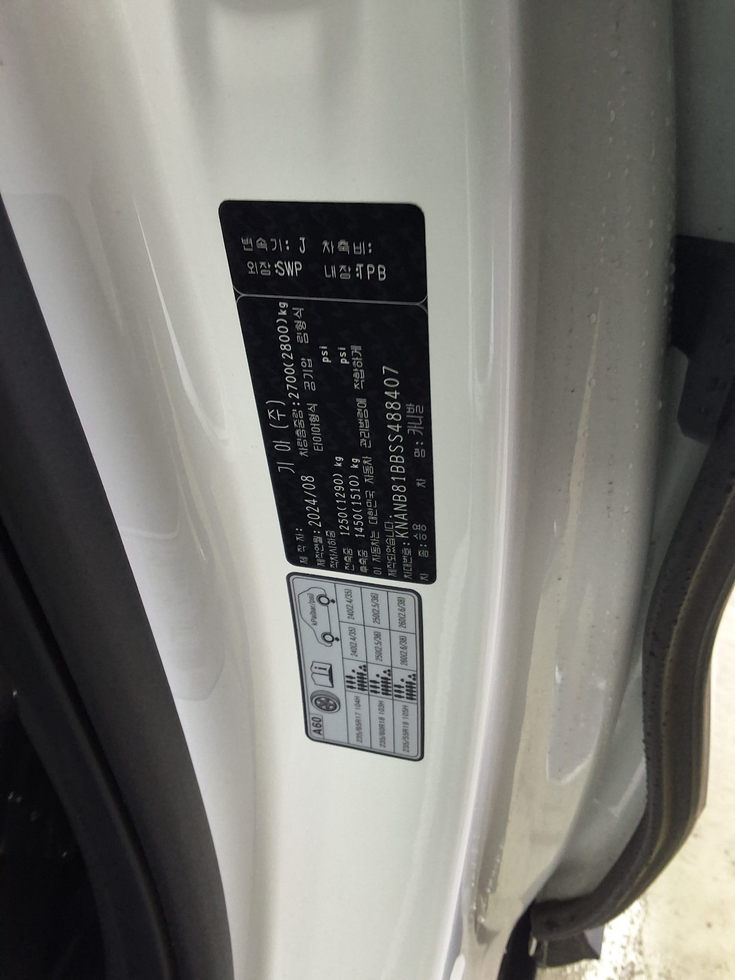 2025 - kia carnival