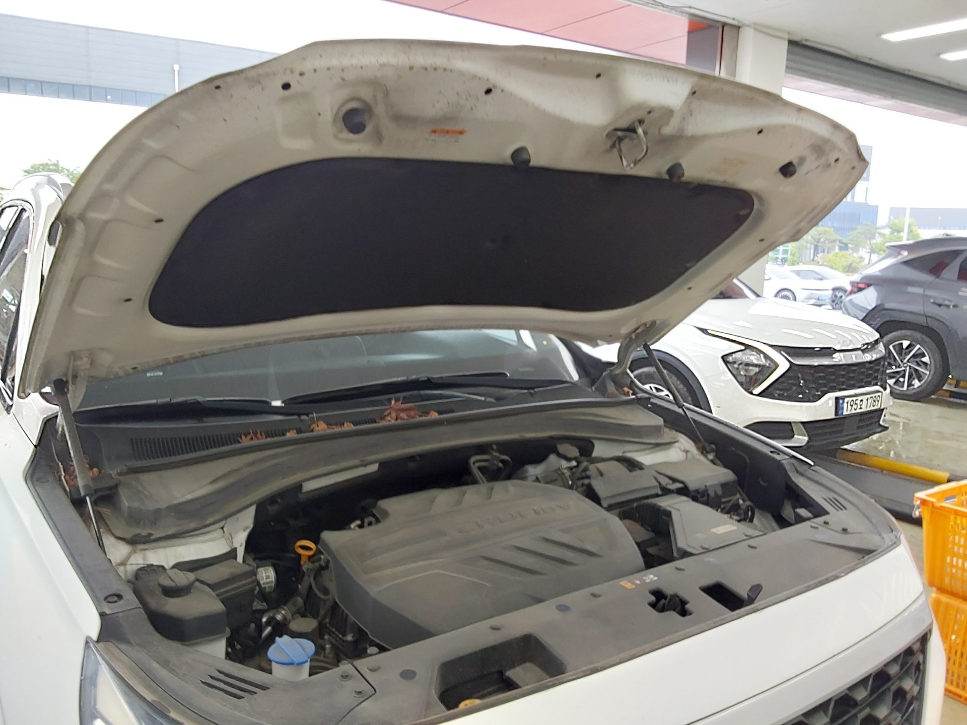 2019 - hyundai santa fe