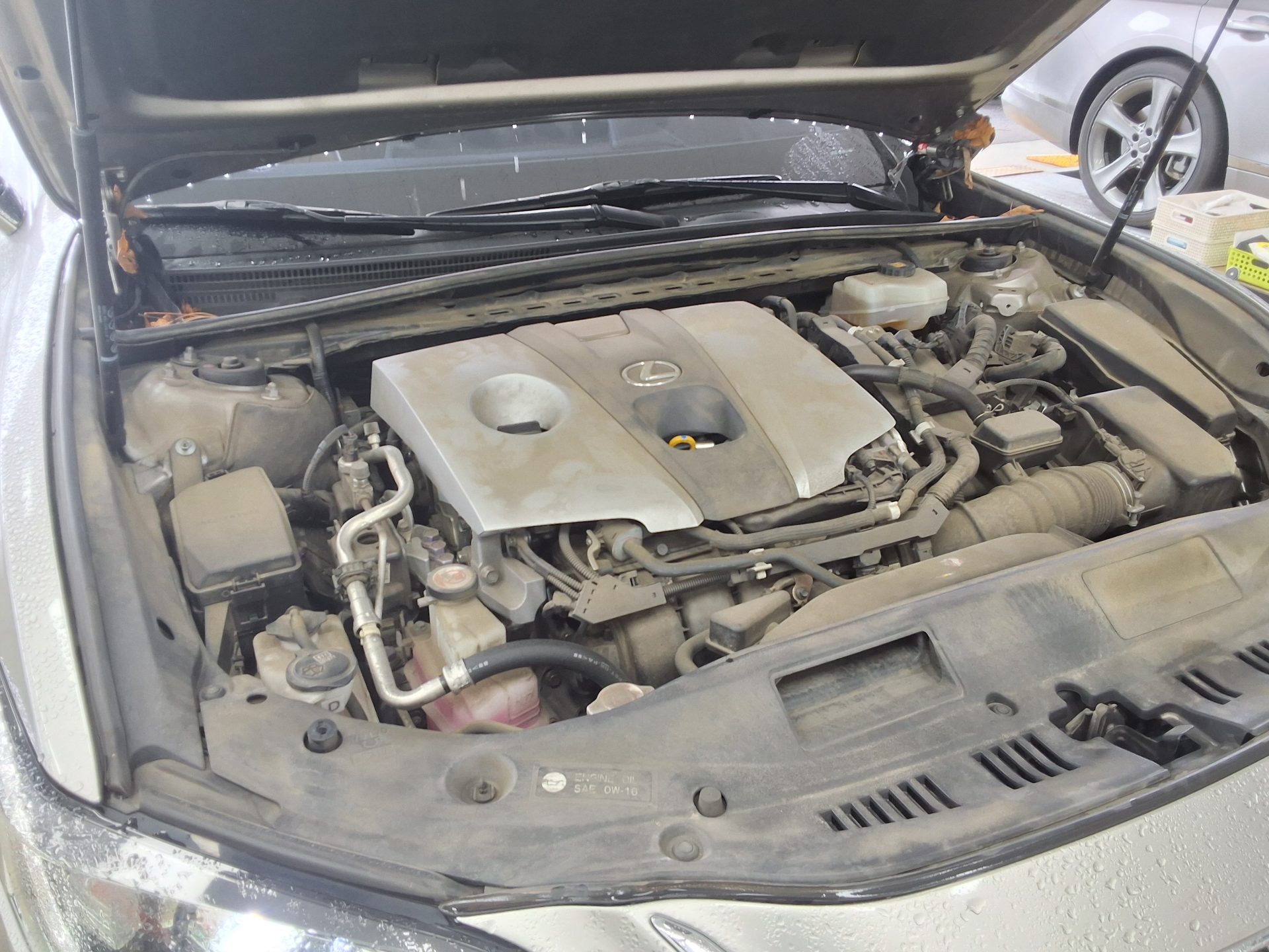 2019 - lexus es