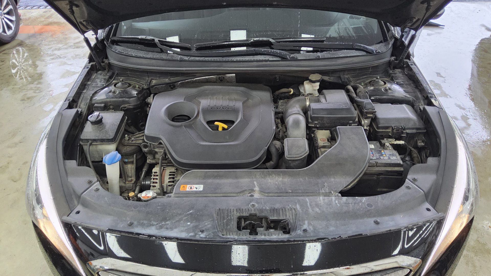 2015 - hyundai sonata