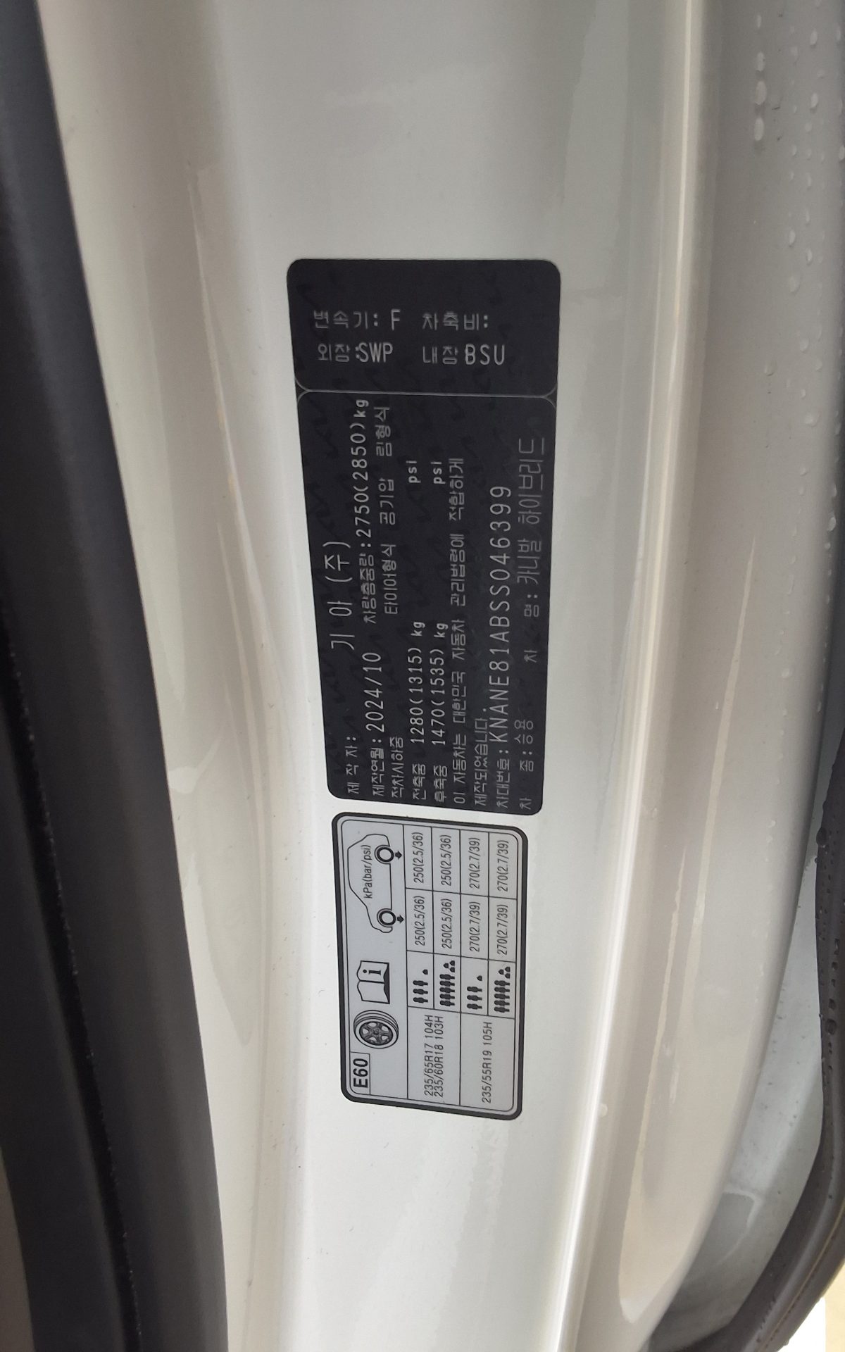 2025 - kia carnival