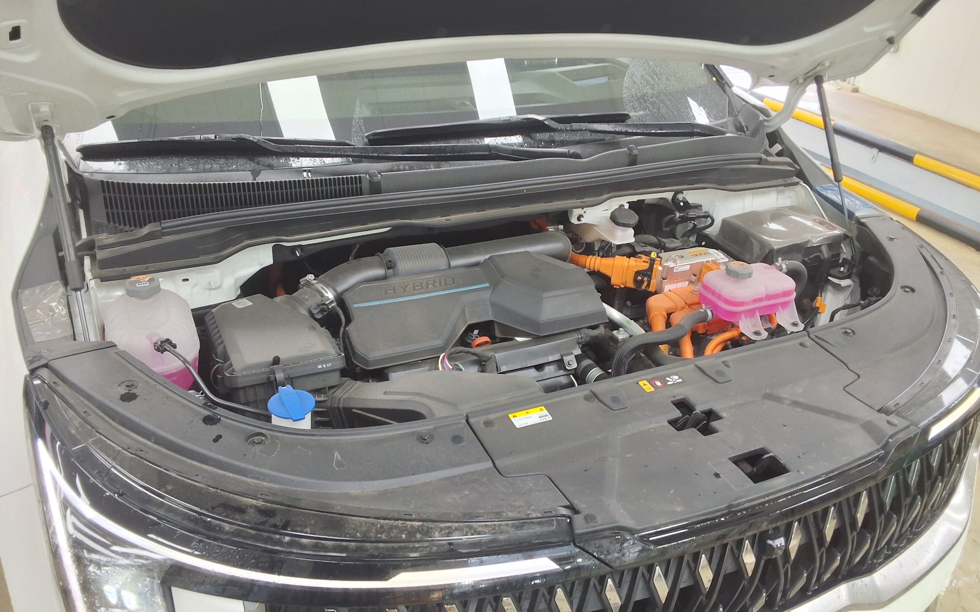 2025 - kia carnival