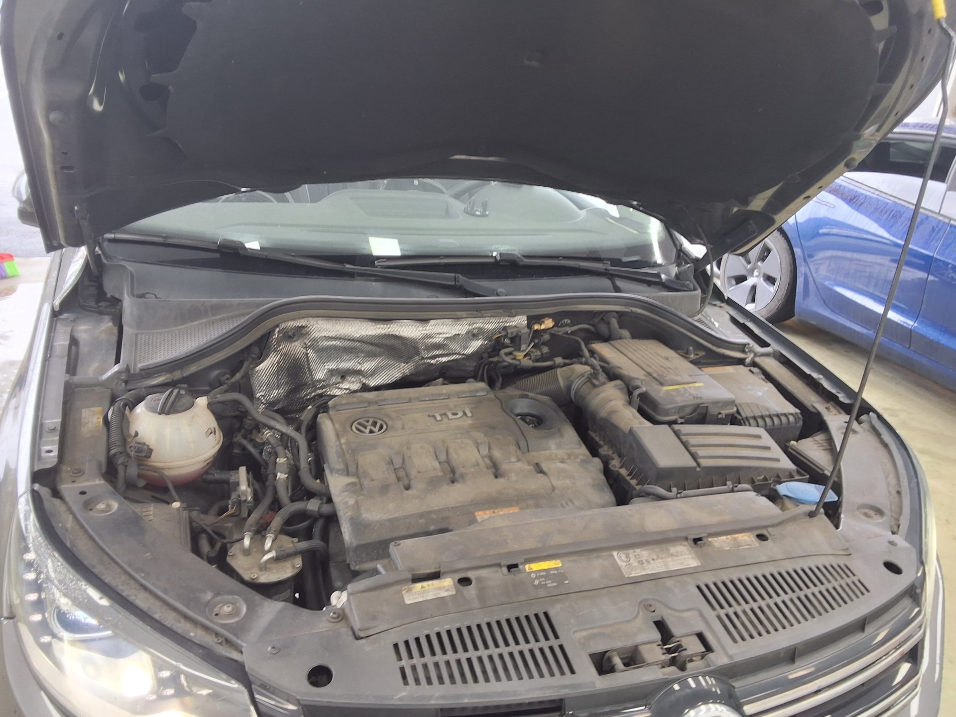 2016 - volkswagen tiguan