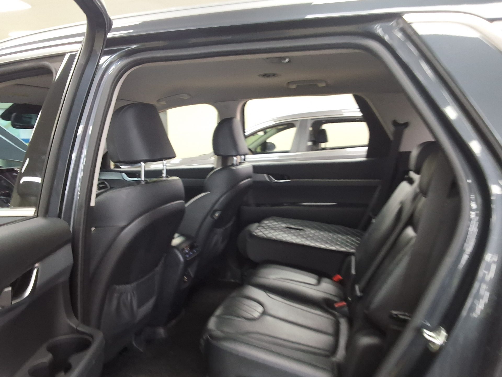 2019 - hyundai palisade