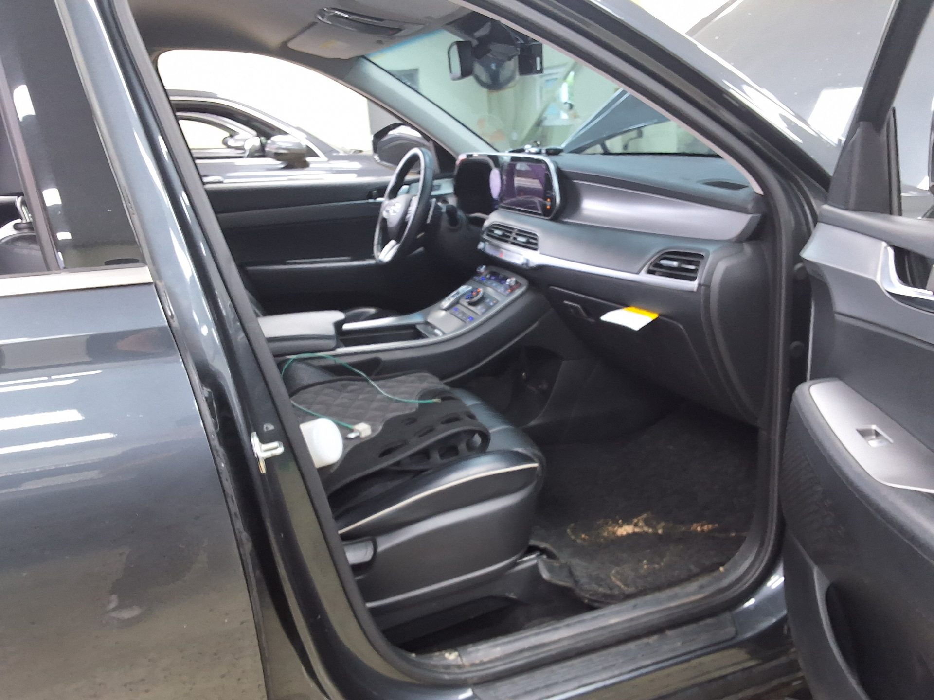 2019 - hyundai palisade