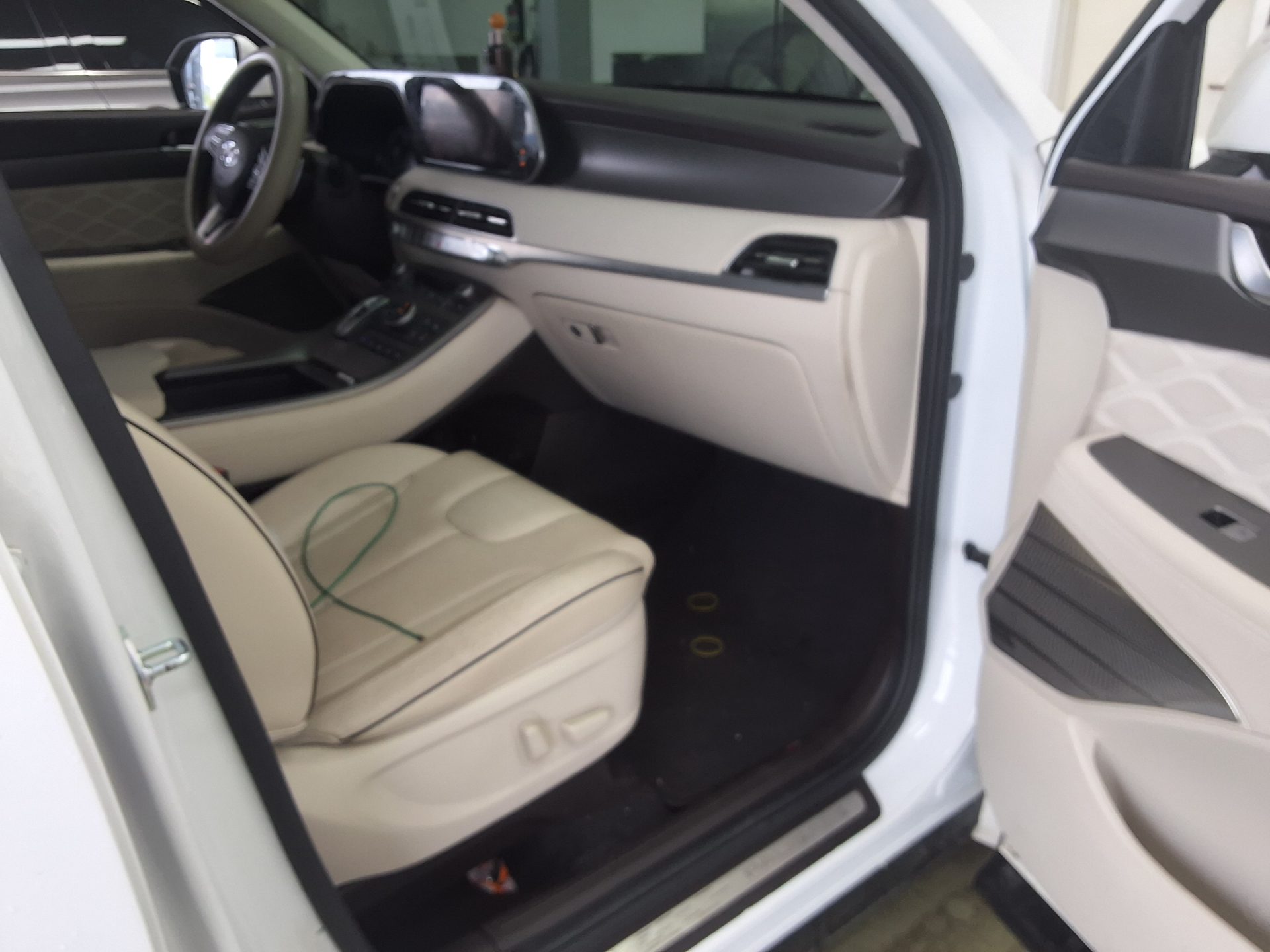 2021 - hyundai palisade