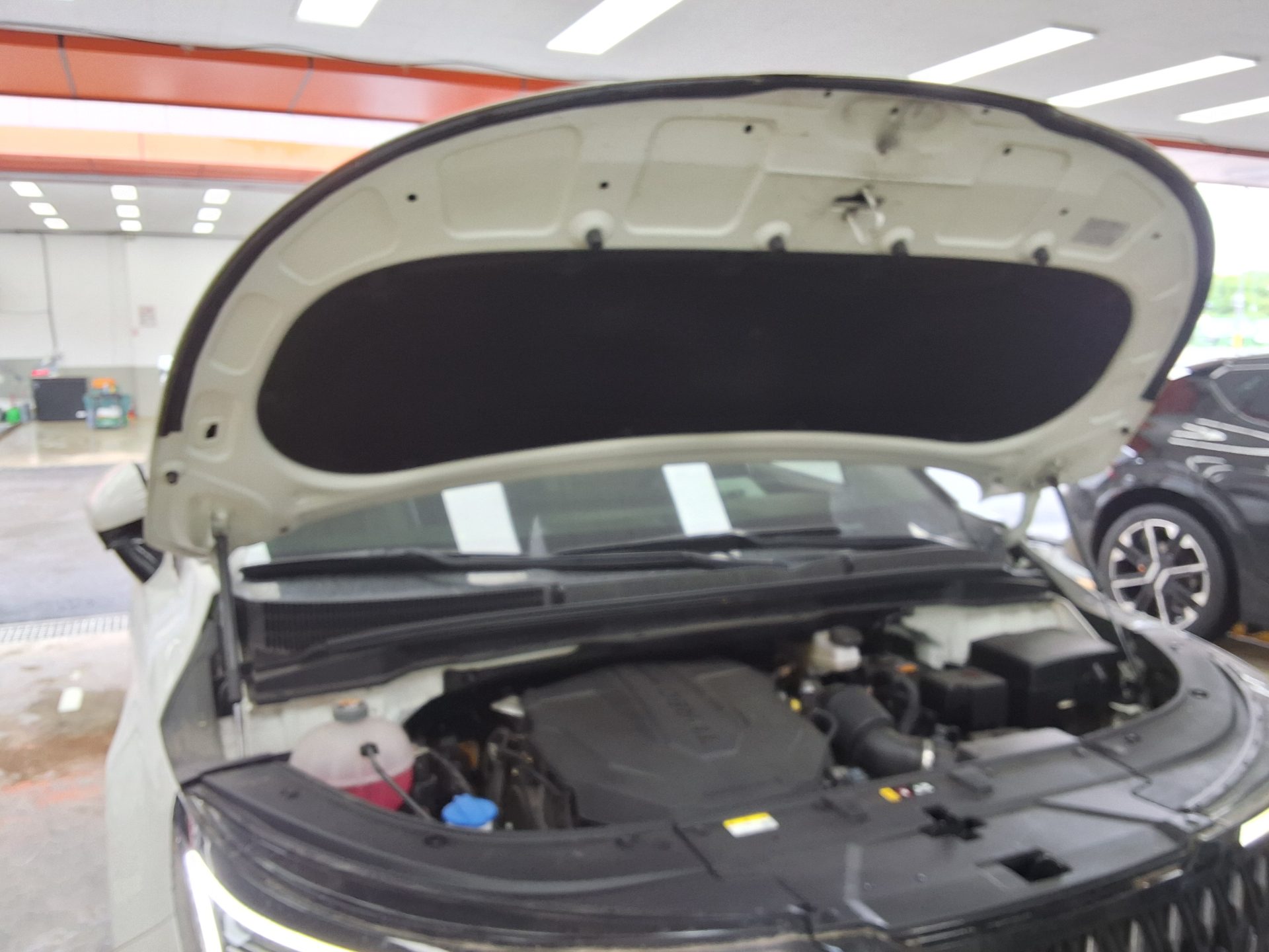 2025 - kia carnival