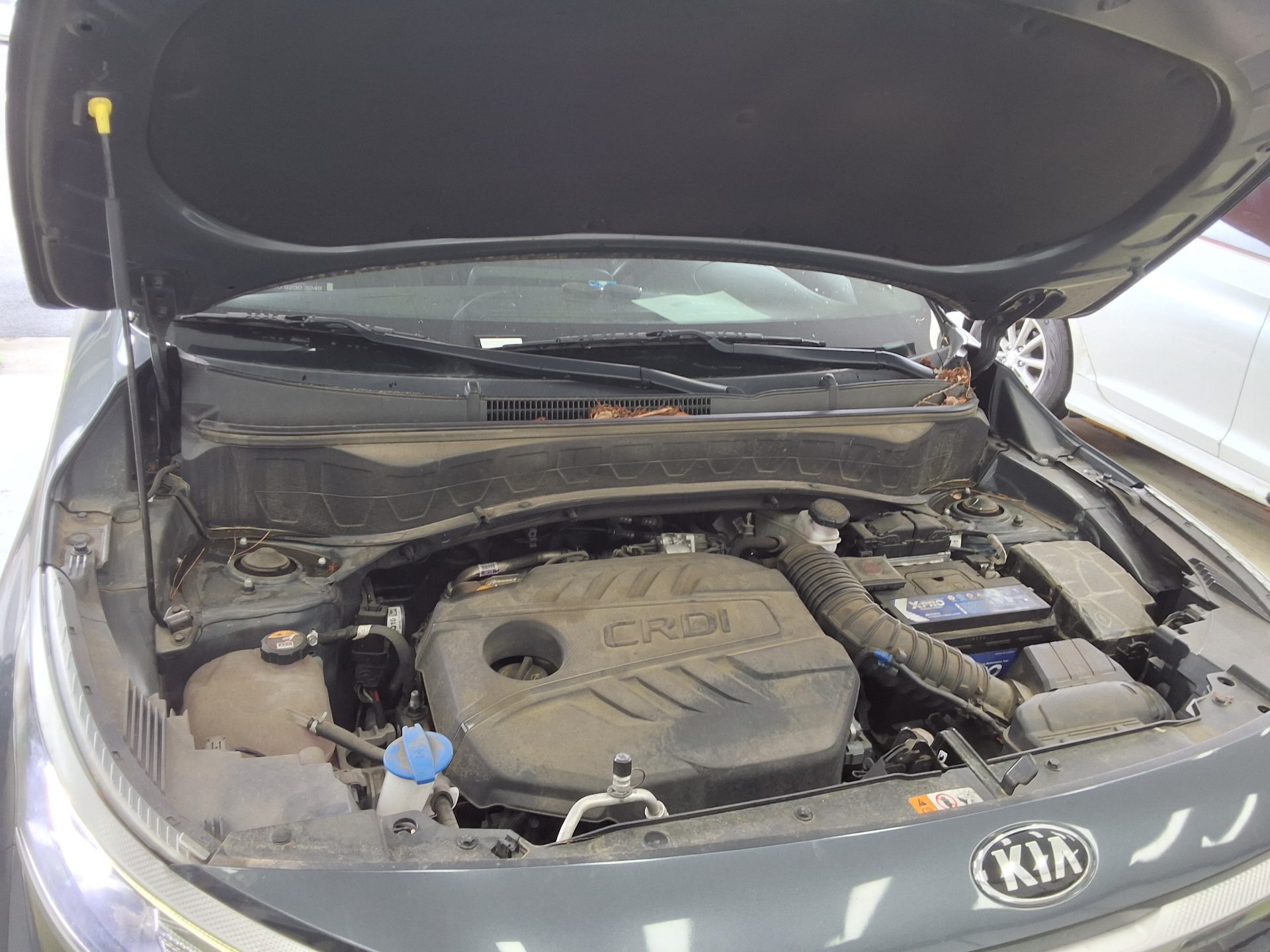 2022 - kia seltos