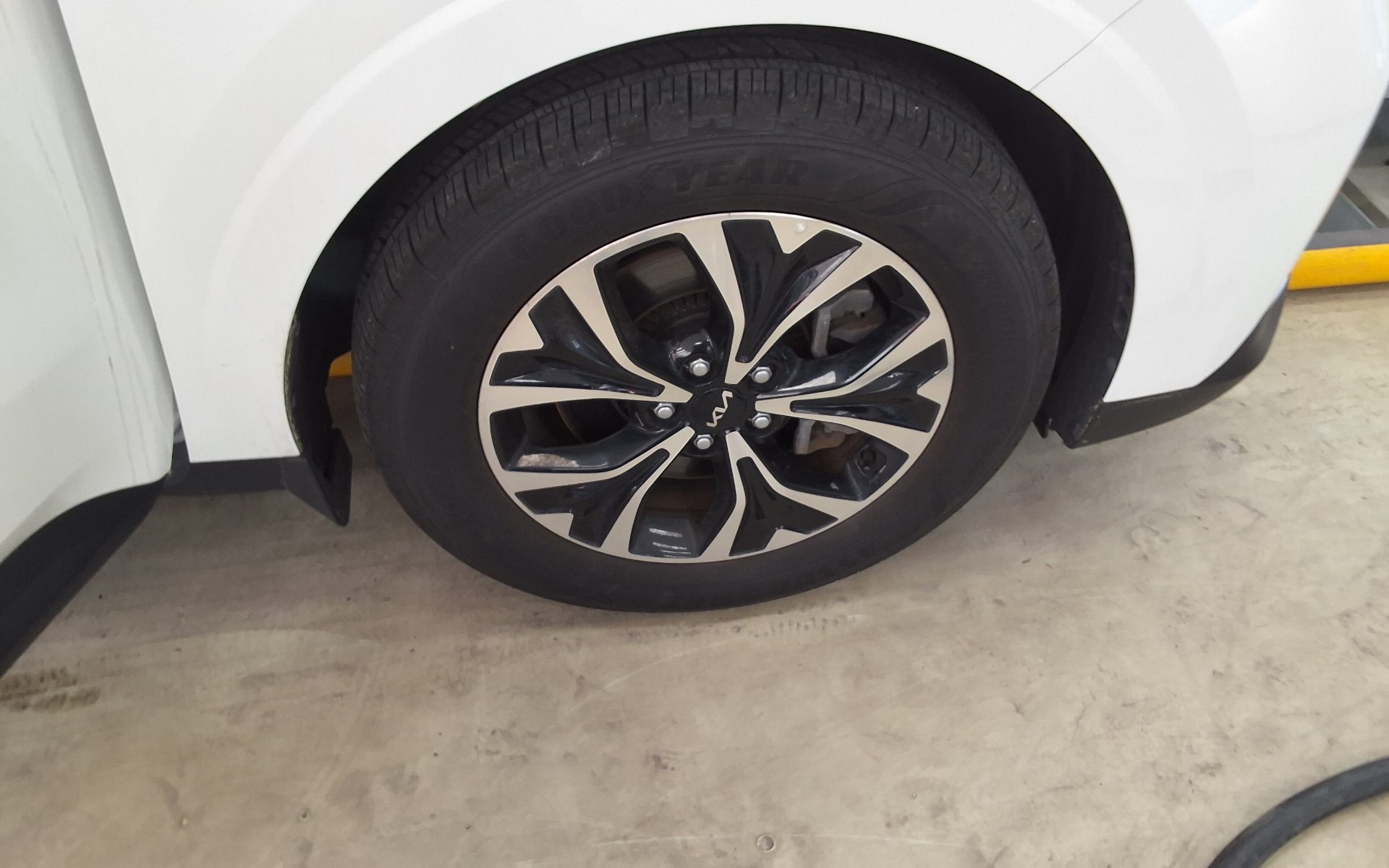 2023 - kia carnival