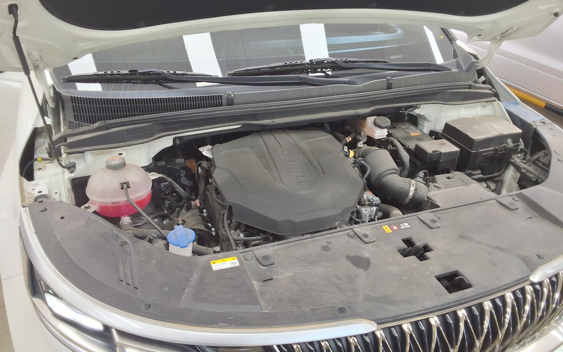 2023 - kia carnival