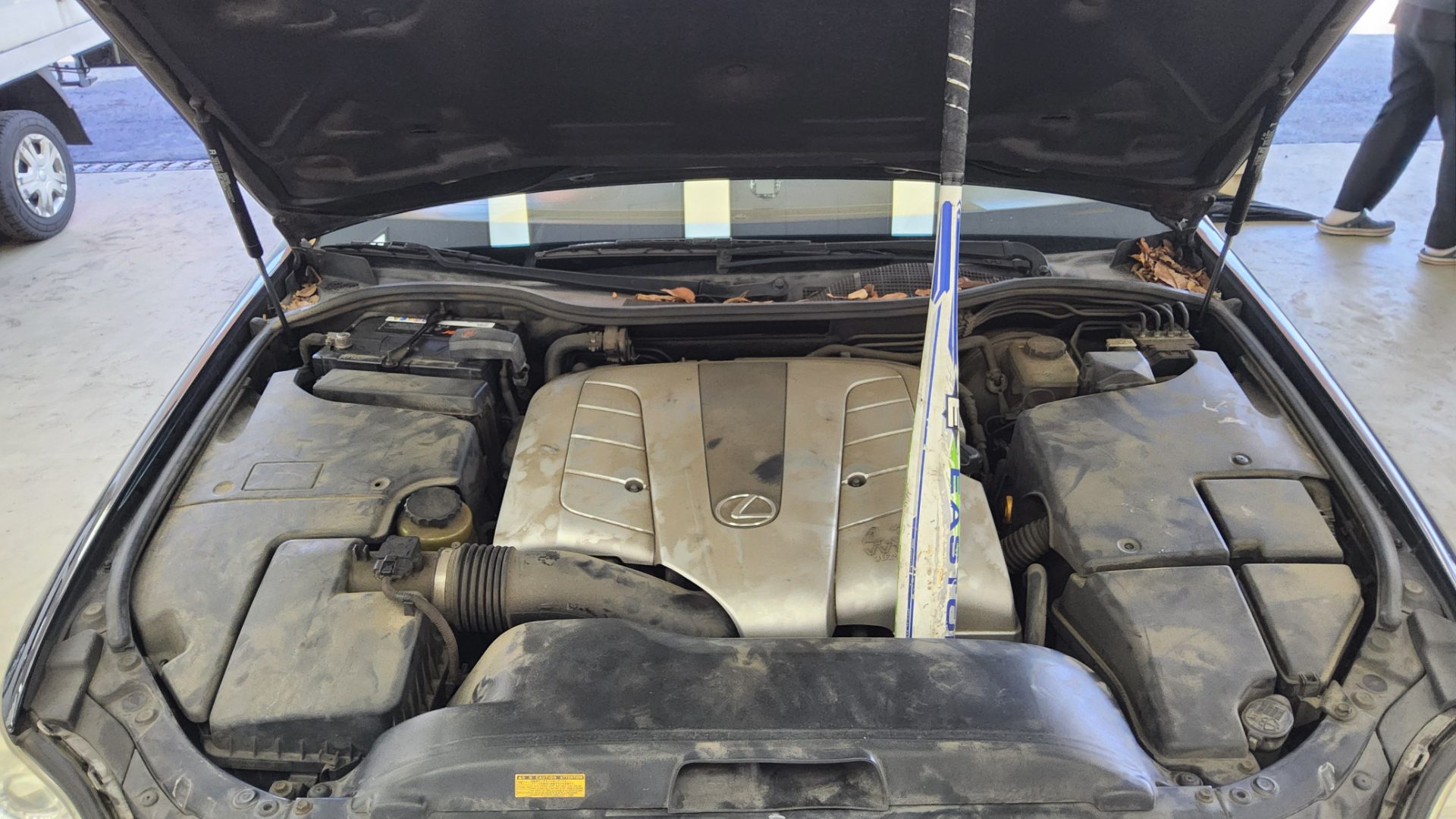 2004 - lexus ls