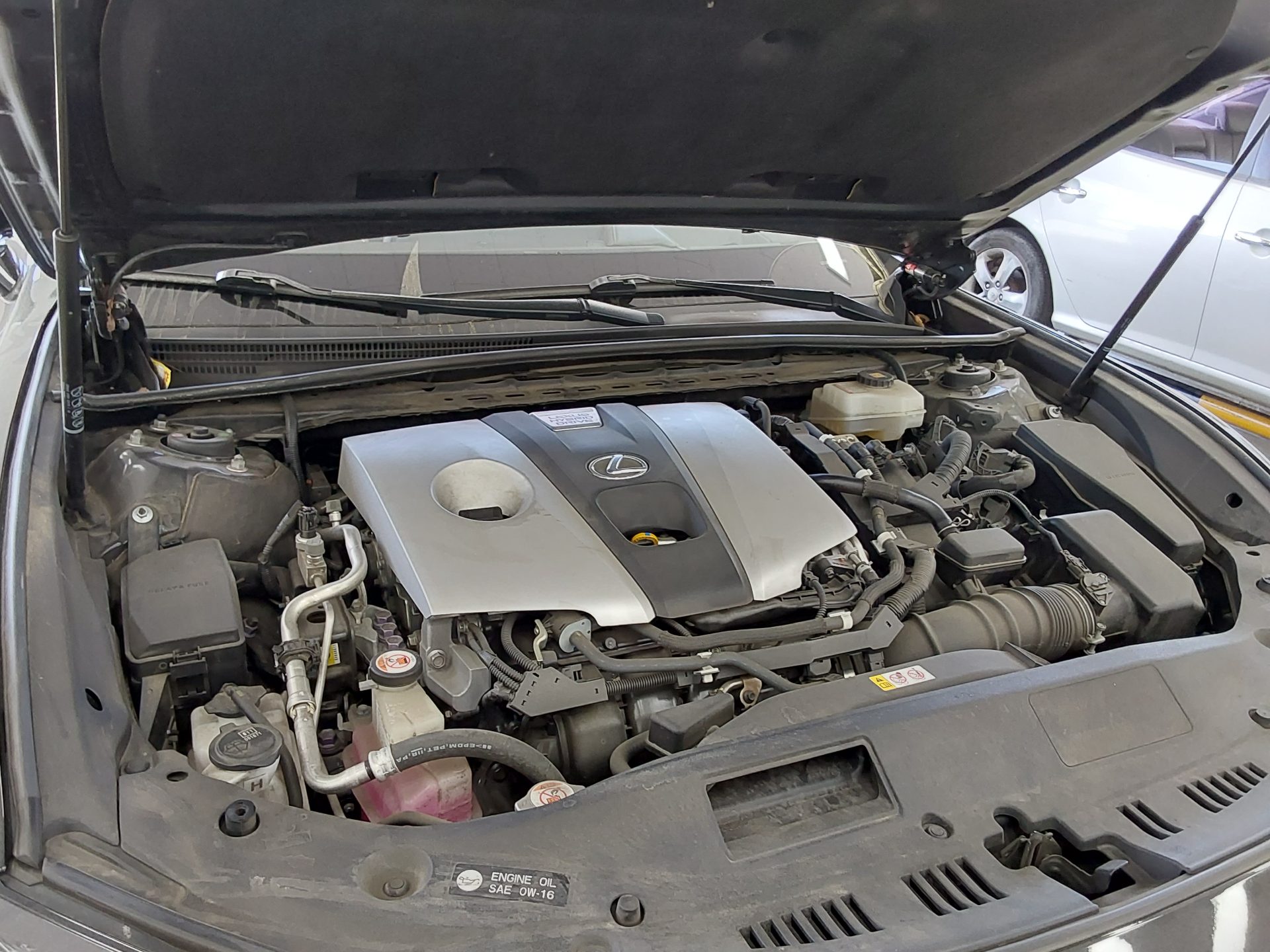 2019 - lexus es