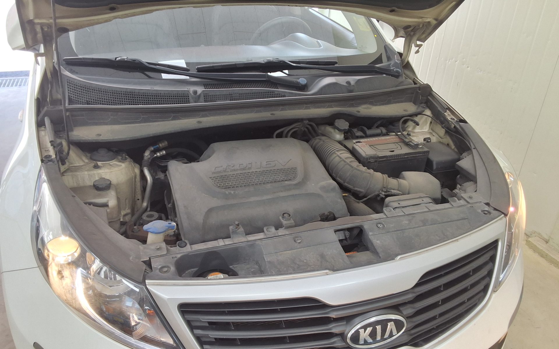 2011 - kia sportage