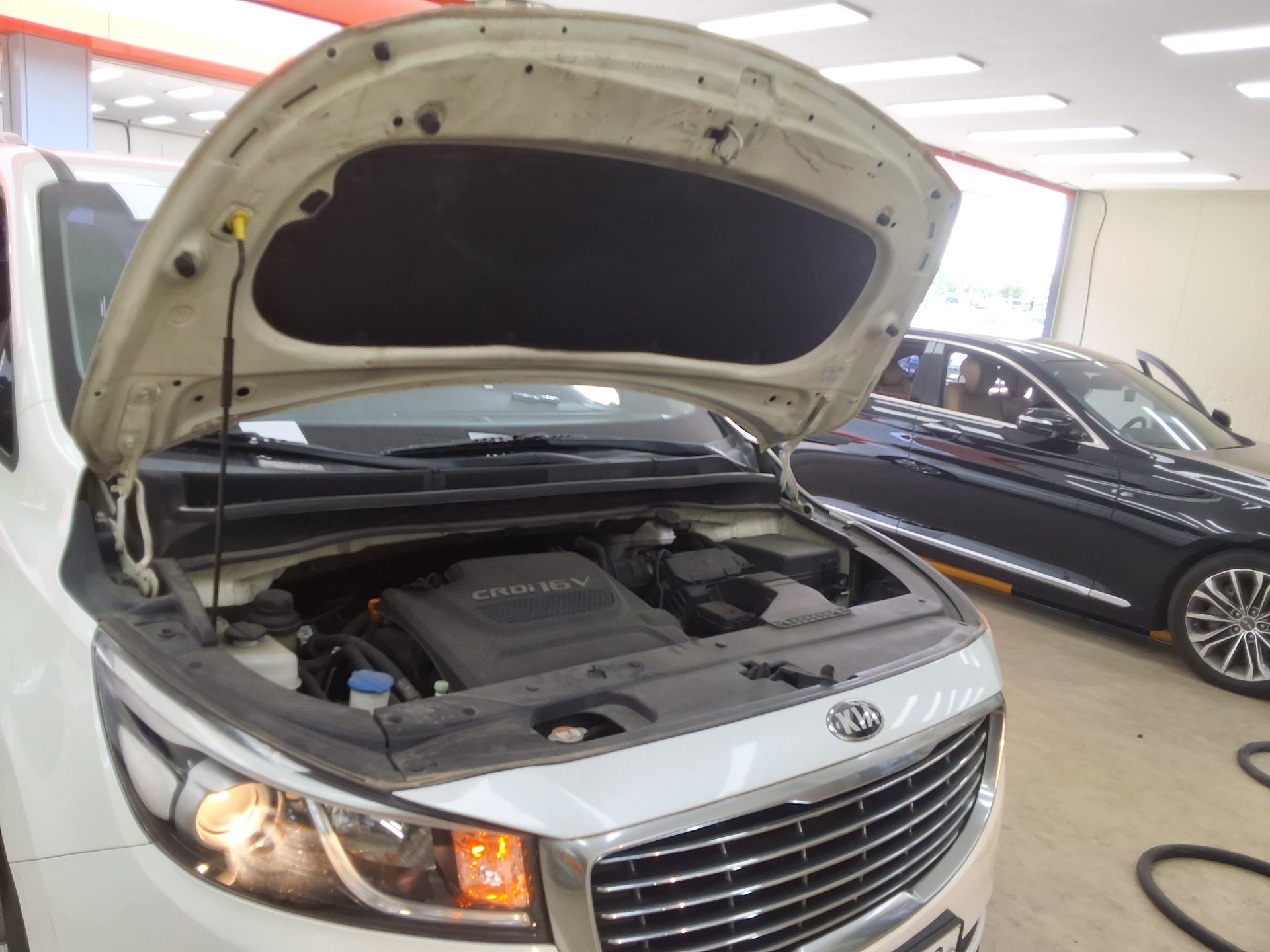 2015 - kia carnival