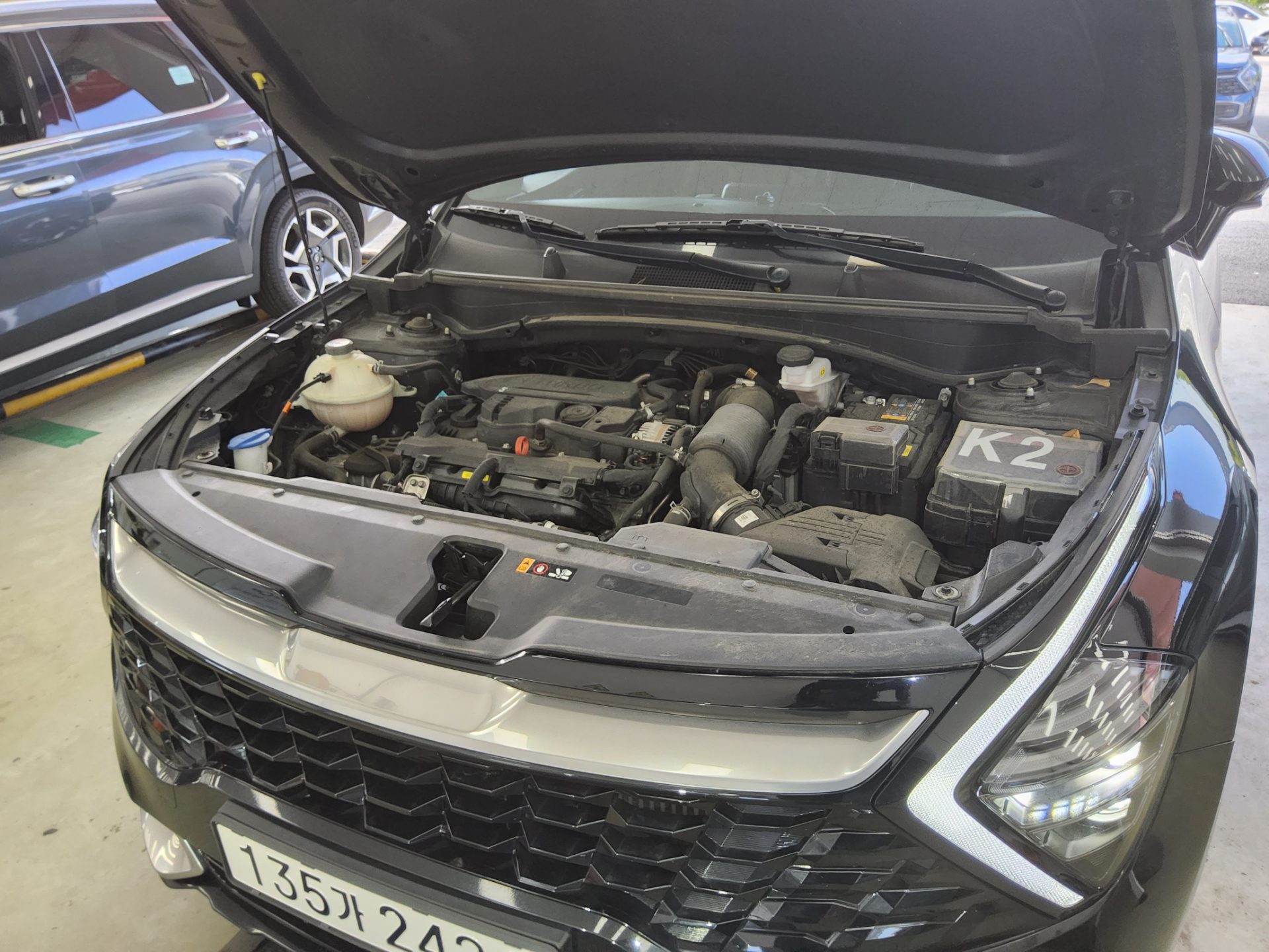 2023 - kia sportage