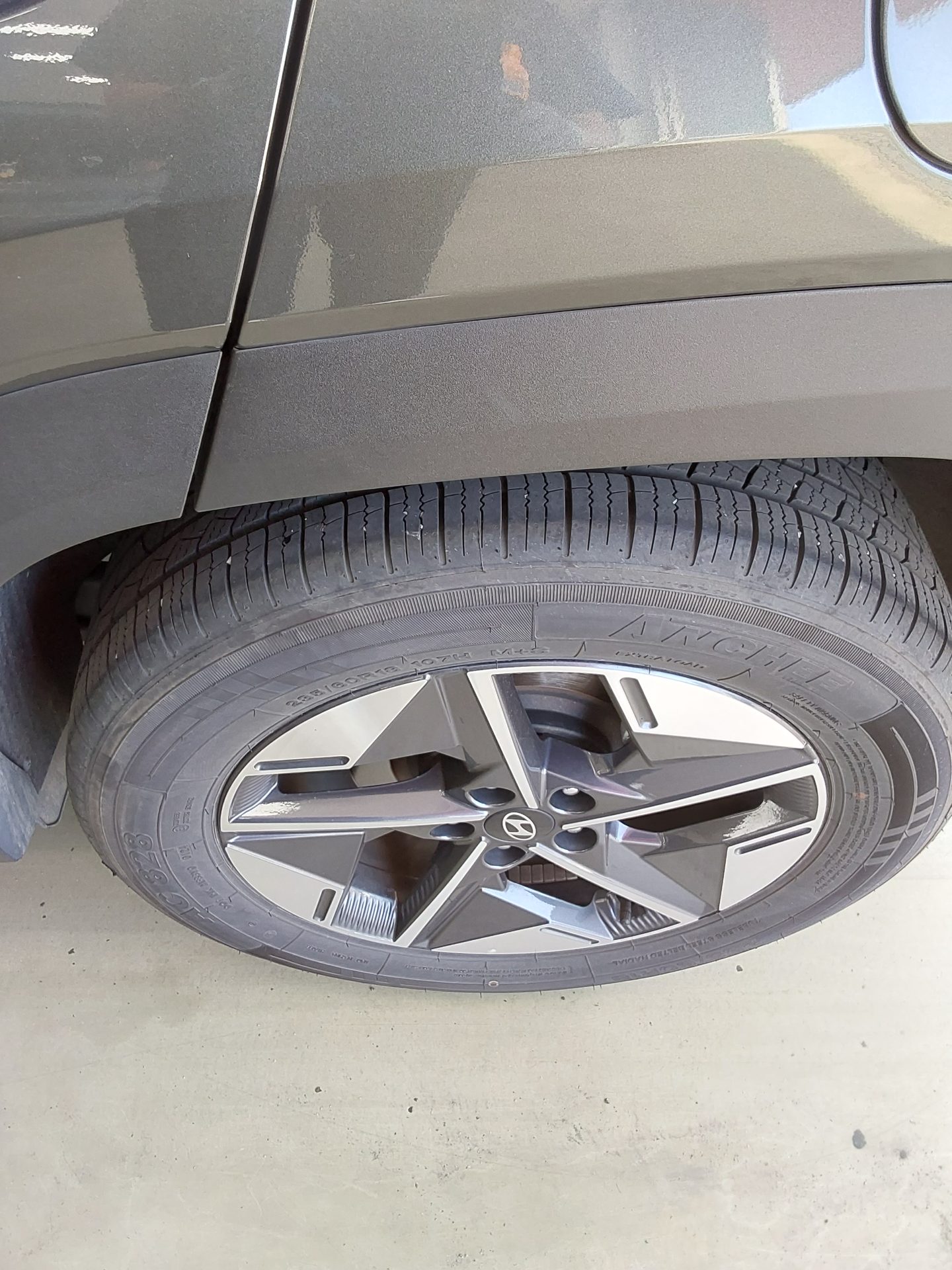 2024 - hyundai tucson