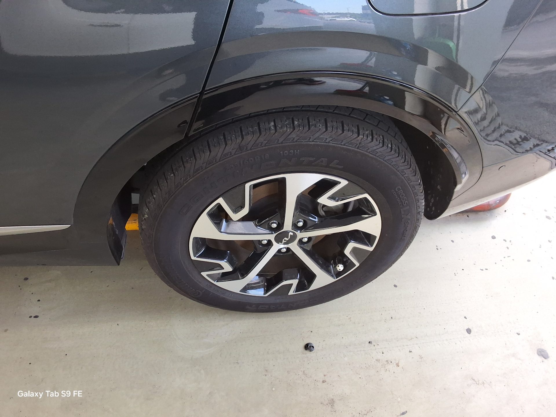 2024 - kia sportage