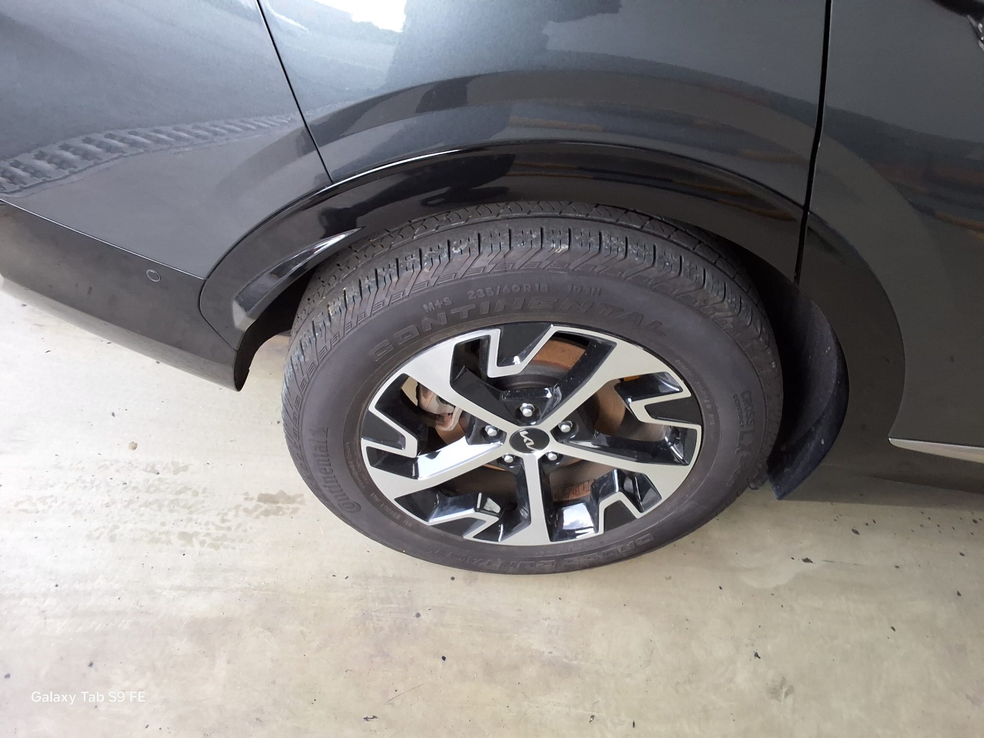 2024 - kia sportage